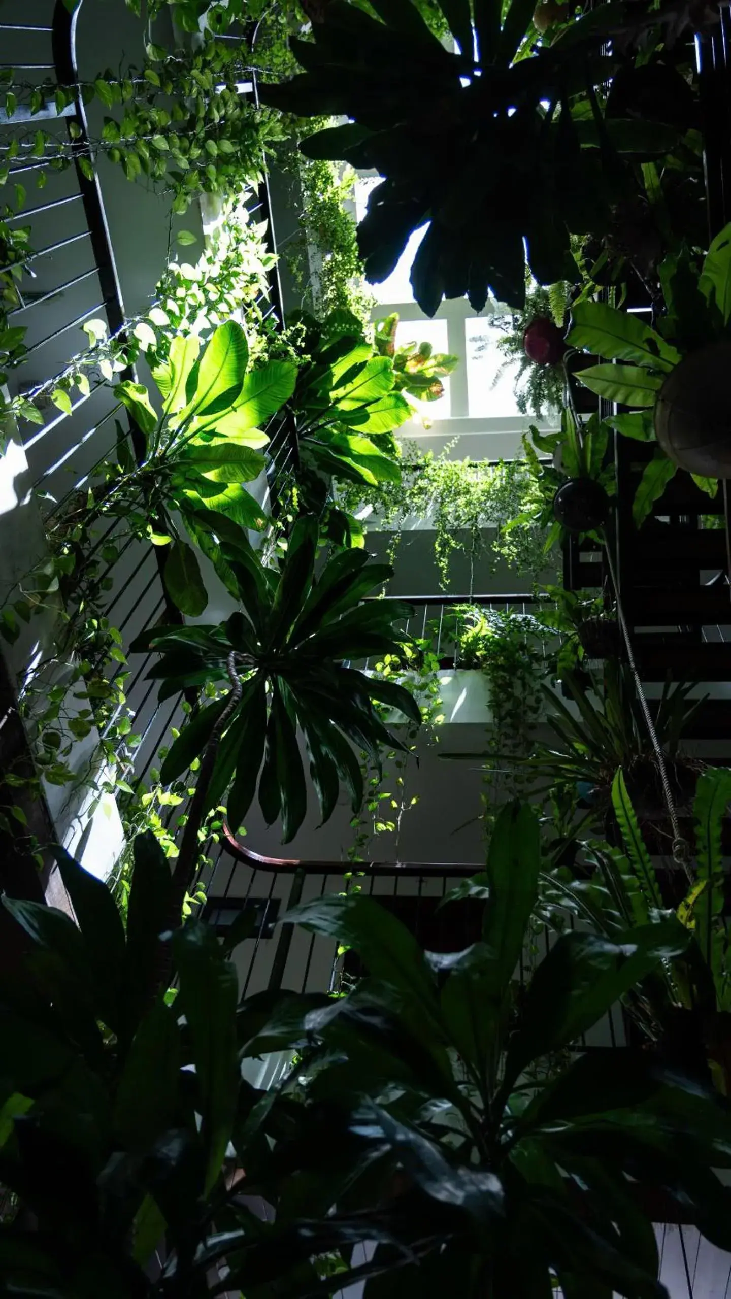 Property building in Nicobar Con Dao Hotel Property building in Nicobar Con Dao Hotel