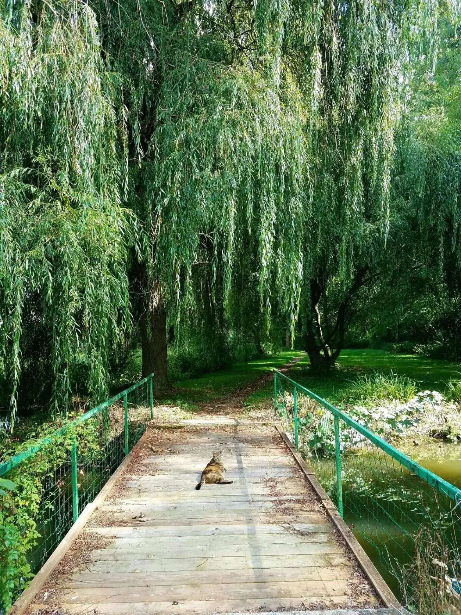 Property building in Propriété Les Ruisseaux Property building in Propriété Les Ruisseaux