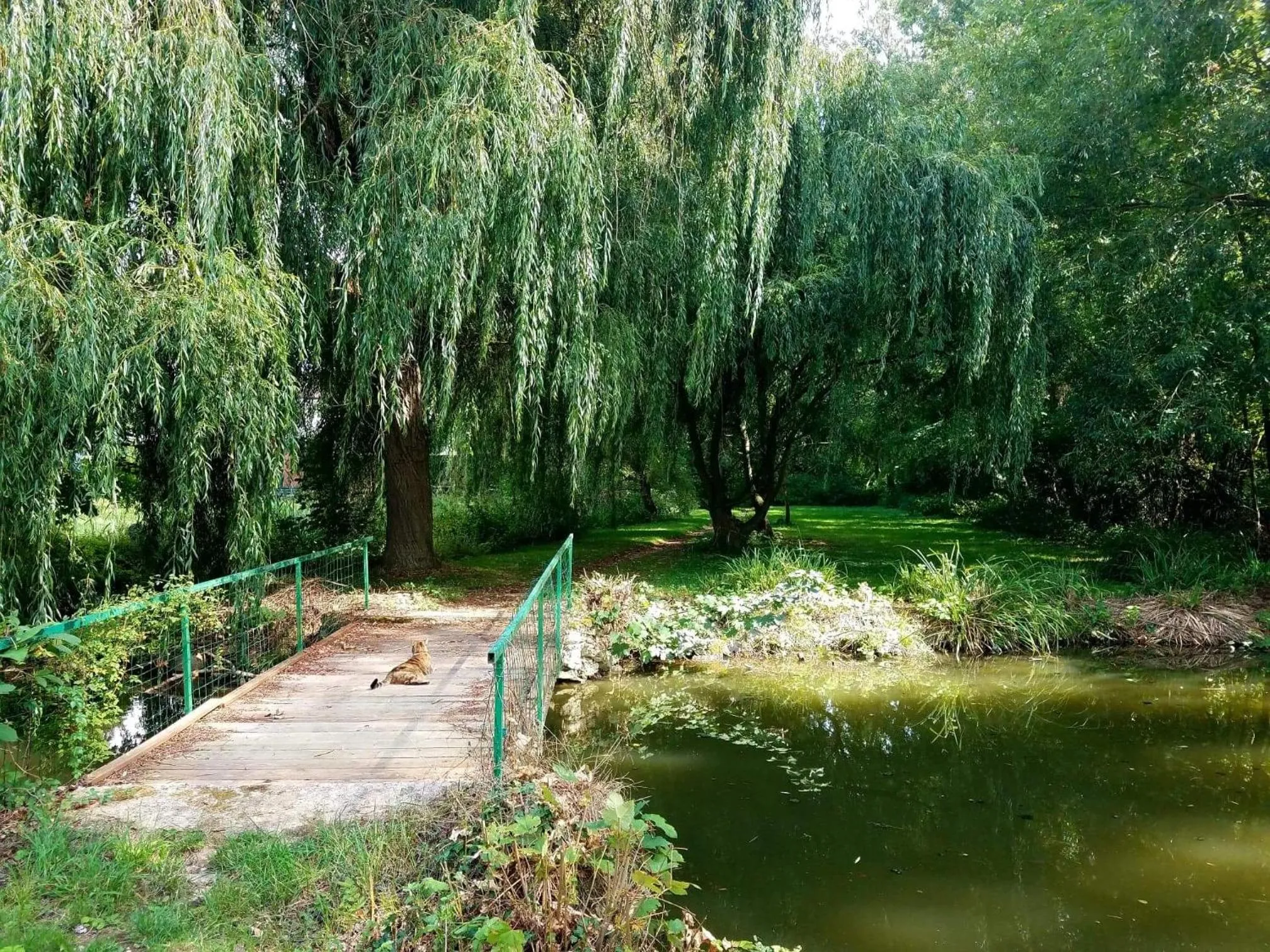 Property building in Propriété Les Ruisseaux