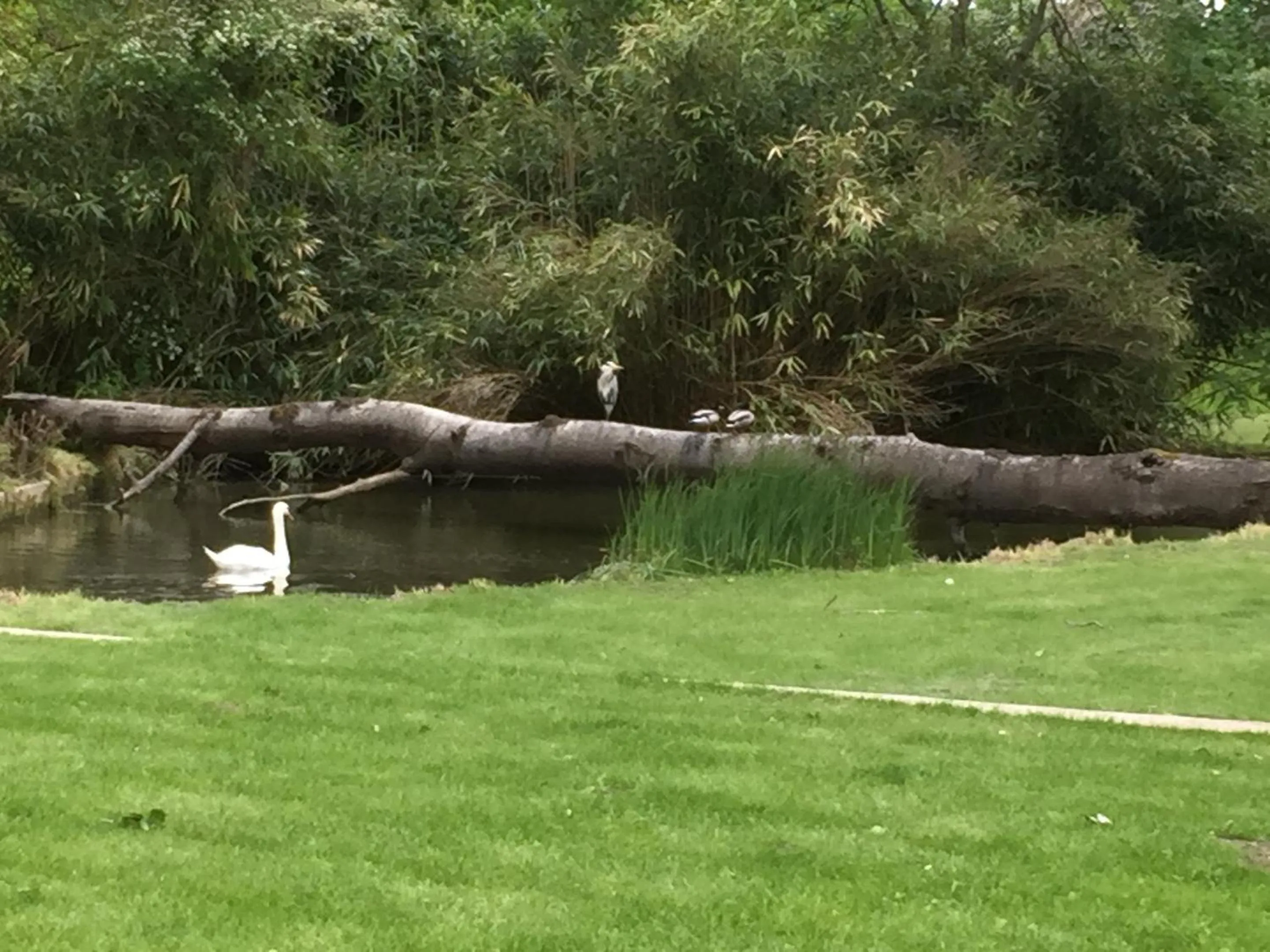 Garden in Propriété Les Ruisseaux