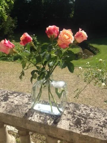 River view in Propriété Les Ruisseaux