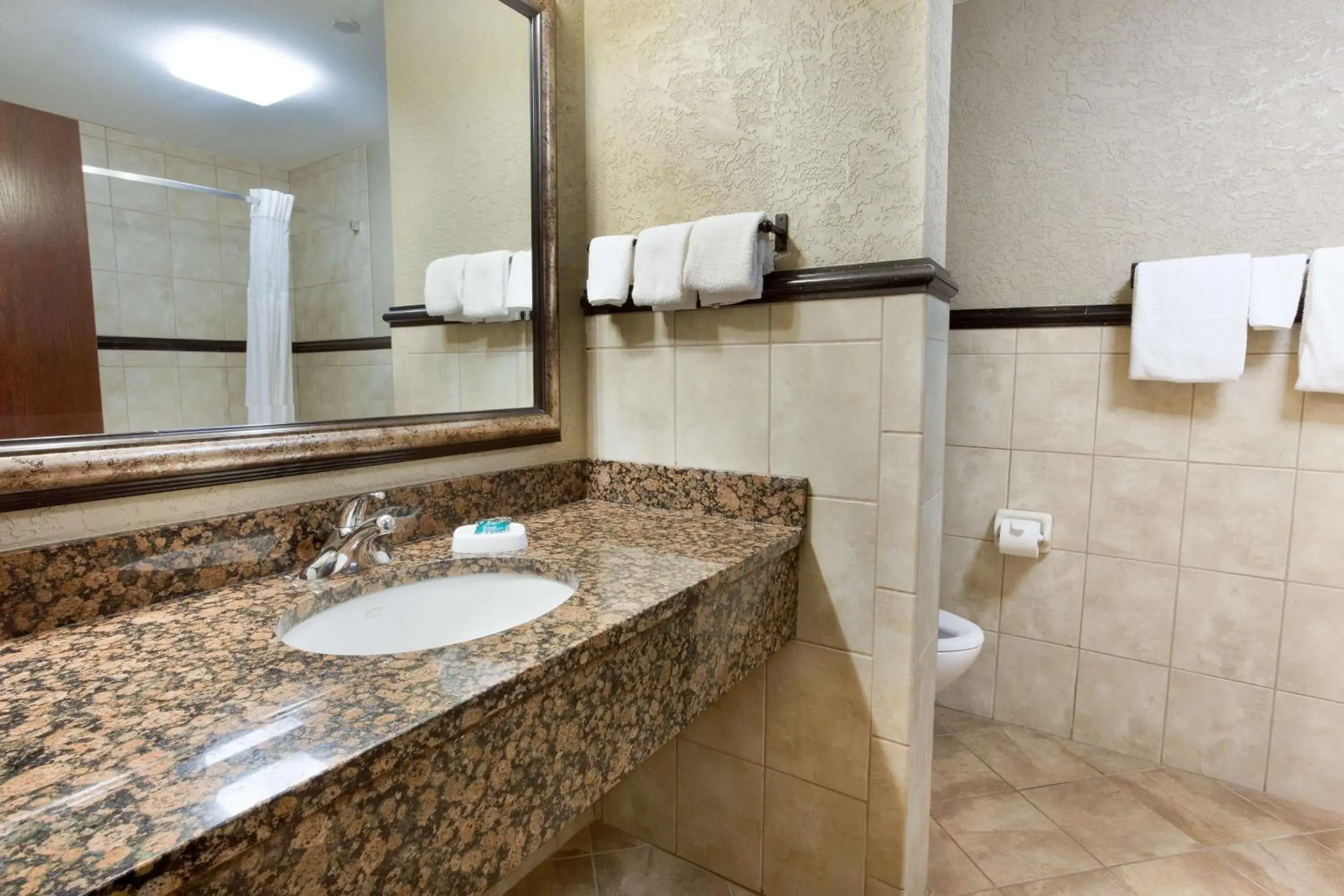 Deluxe King Room - Accessible, Roll-in Shower in Drury Inn & Suites Flagstaff Deluxe King Room - Accessible, Roll-in Shower in Drury Inn & Suites Flagstaff