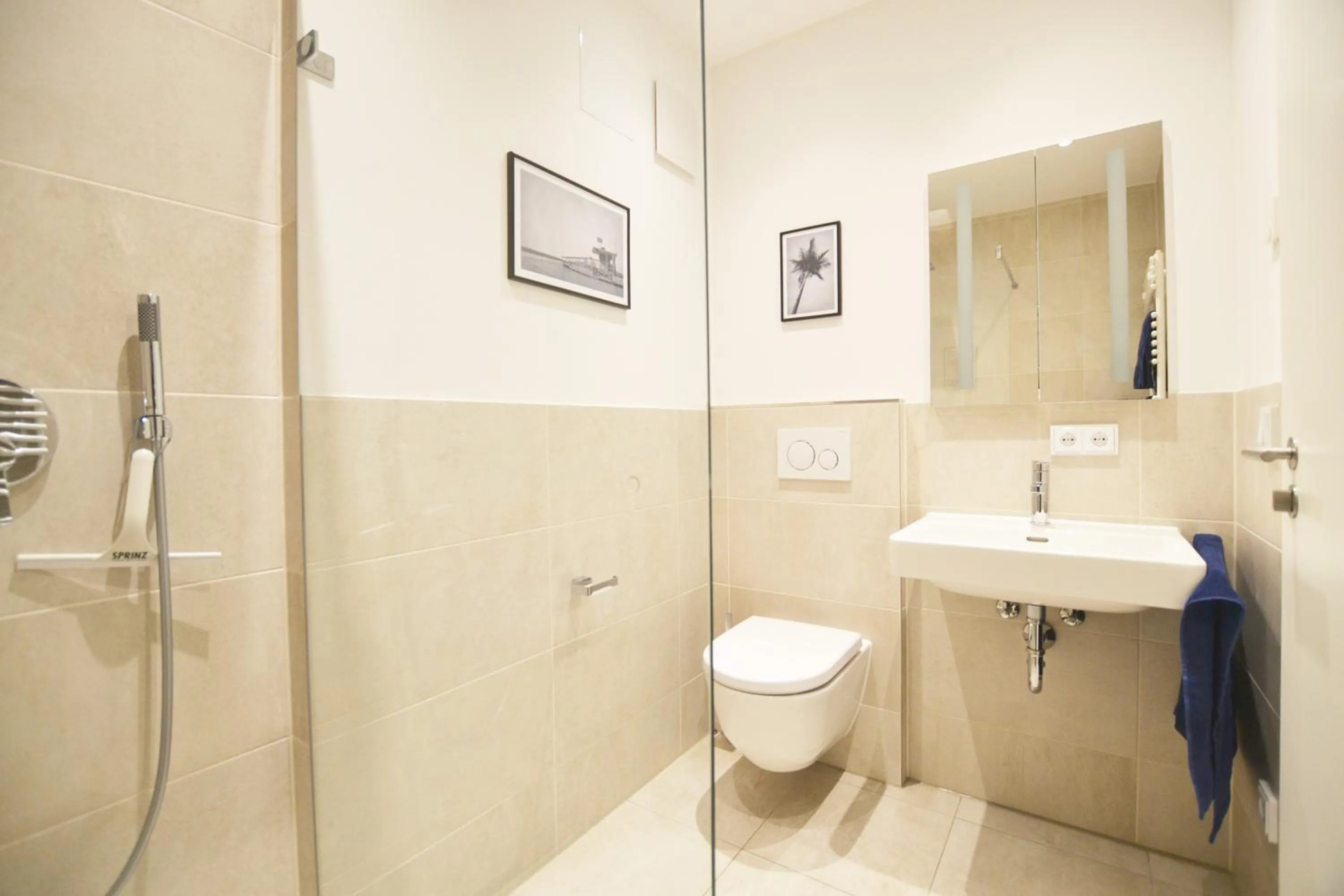 Bathroom in Modern apartment near downtown