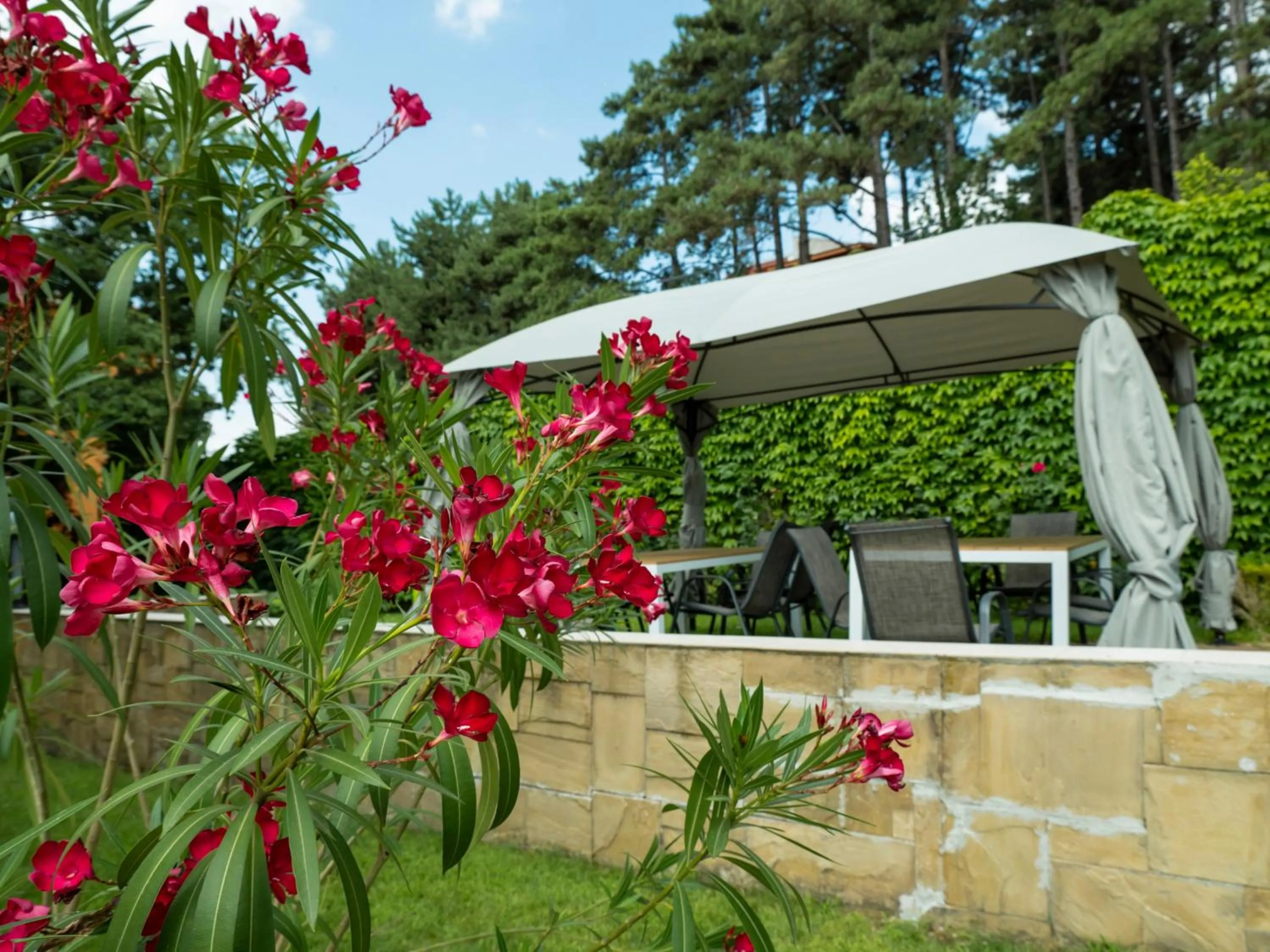 Patio in Milennia Family Hotel