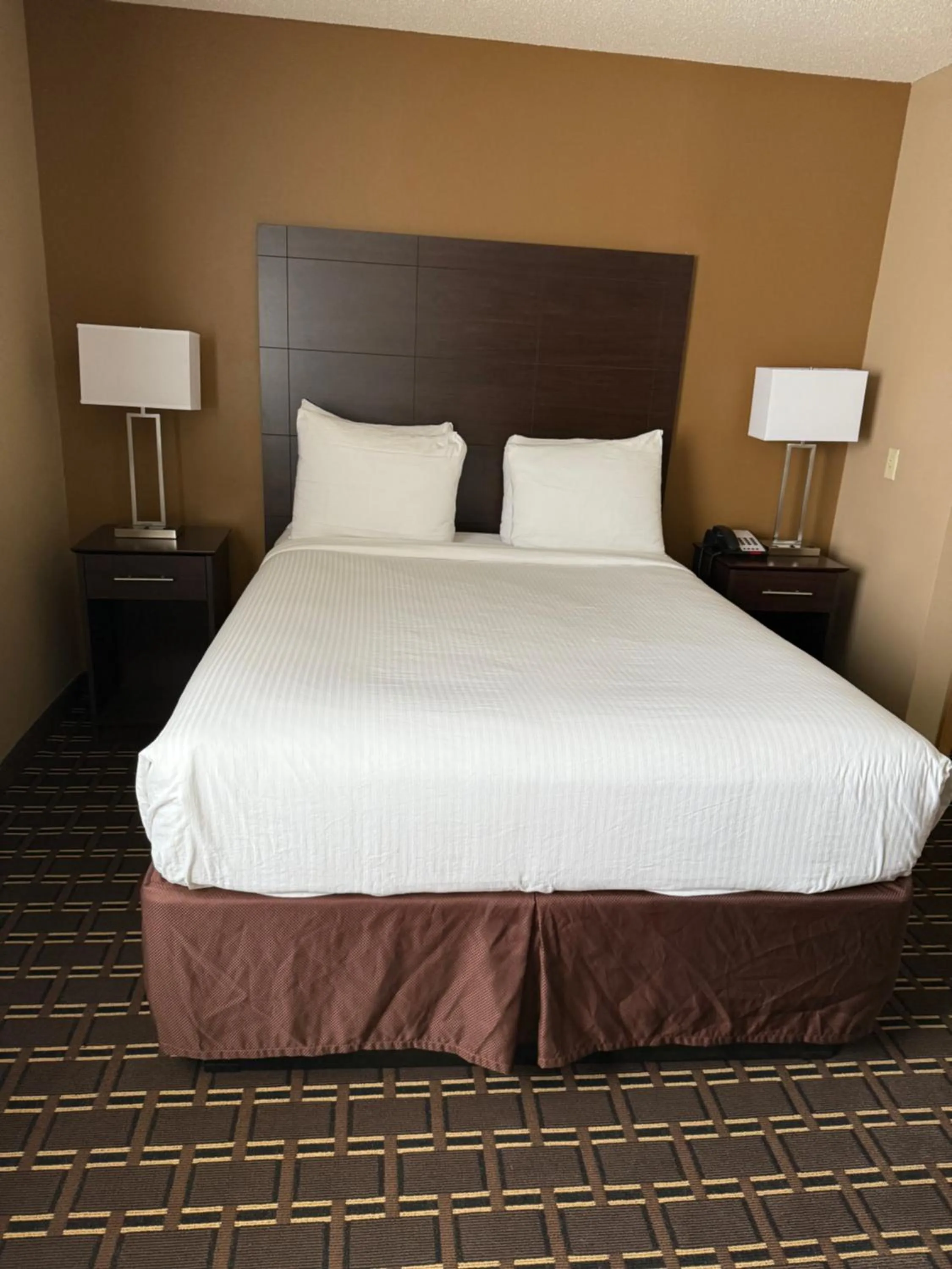 Bed in Best Western Dodgeville Inn & Suites