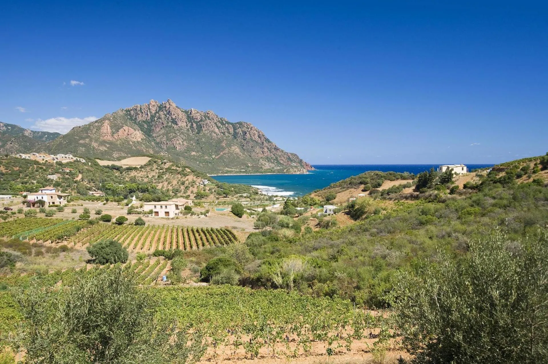 Natural landscape in Hotel Punta Moros