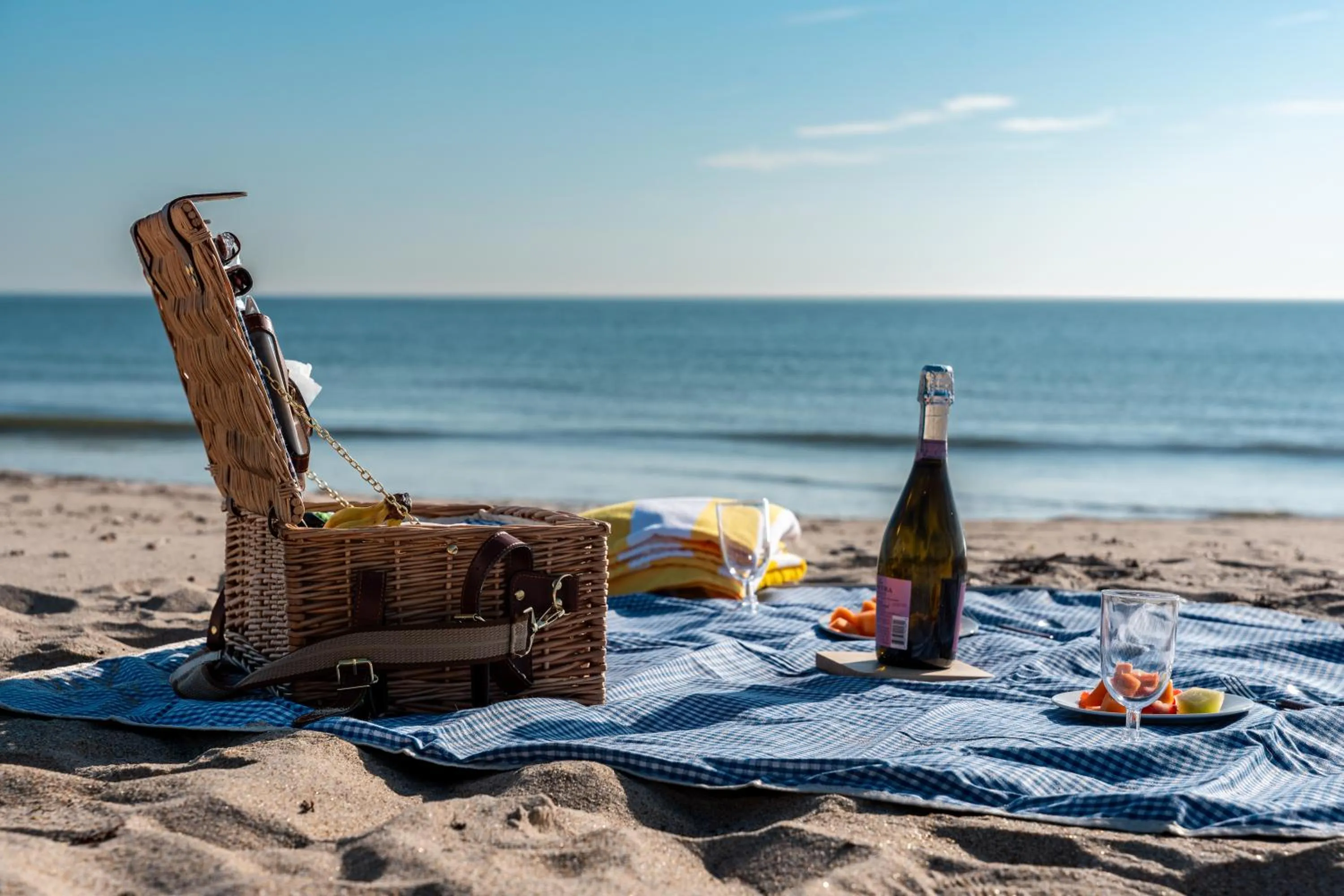 Activities in Seahorse Beach Bungalows