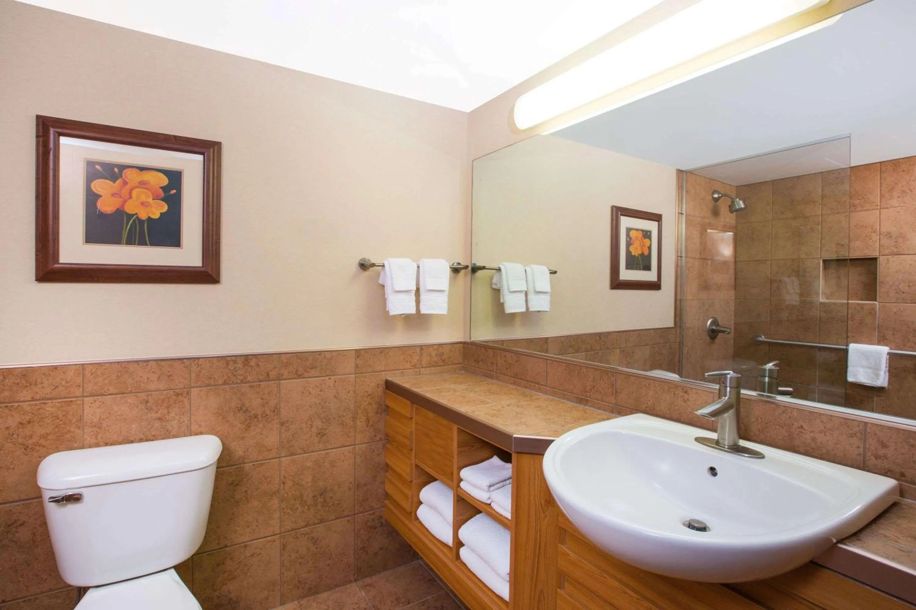 Toilet in Ramada by Wyndham Des Moines Tropics Resort & Conference Ctr