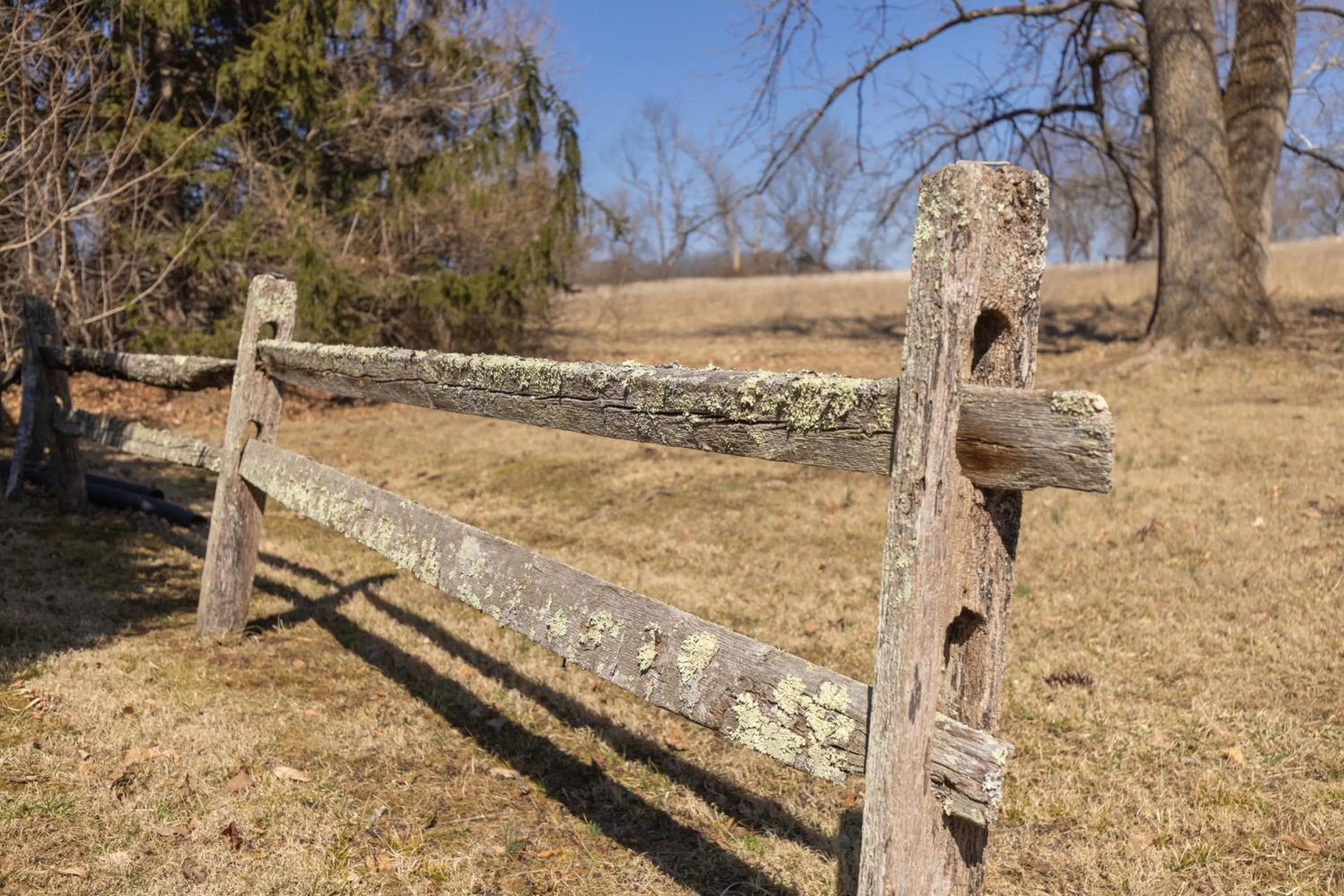 Natural landscape in Brandywine River Hotel