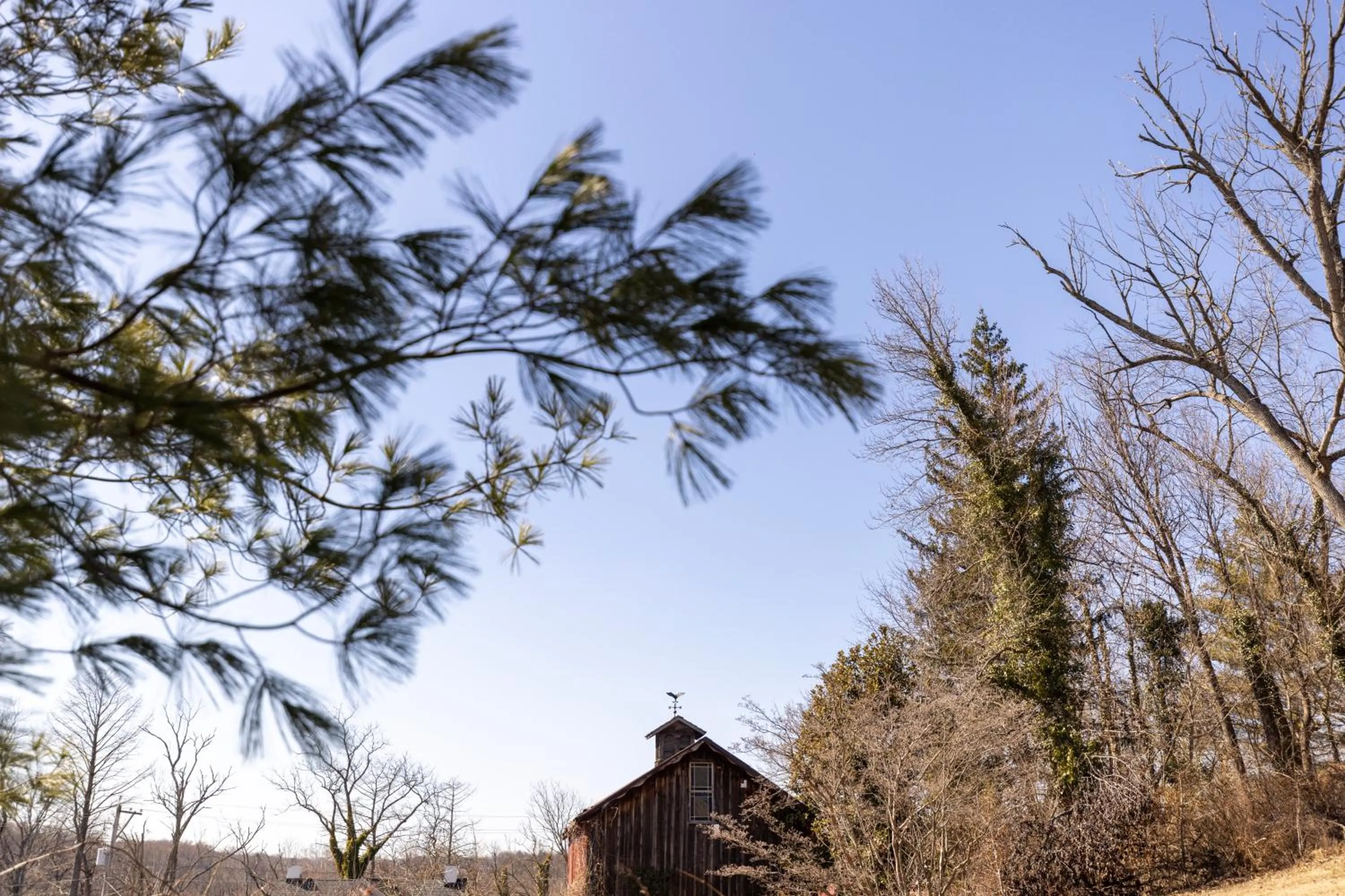 Spring in Brandywine River Hotel