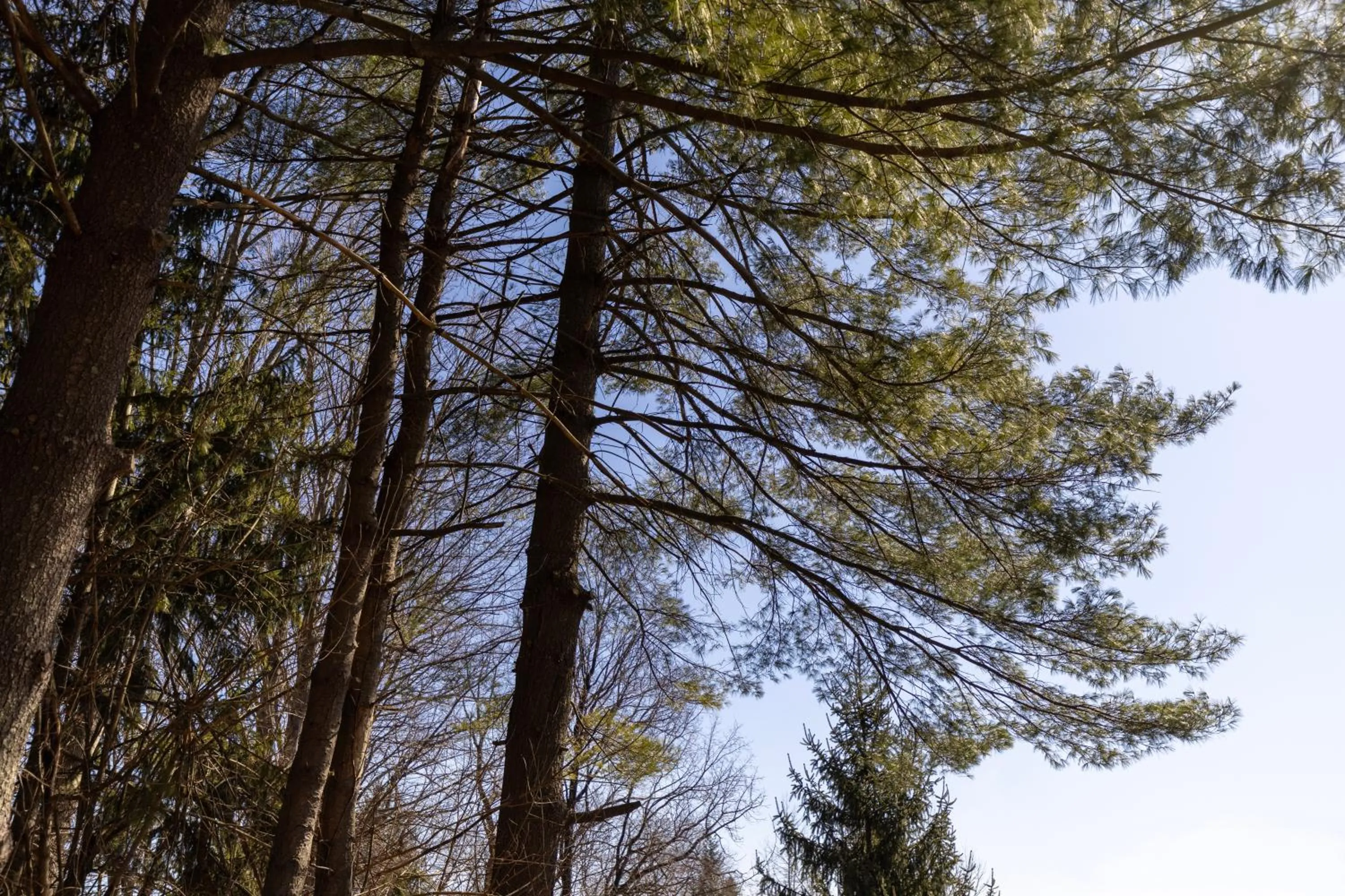 Spring in Brandywine River Hotel