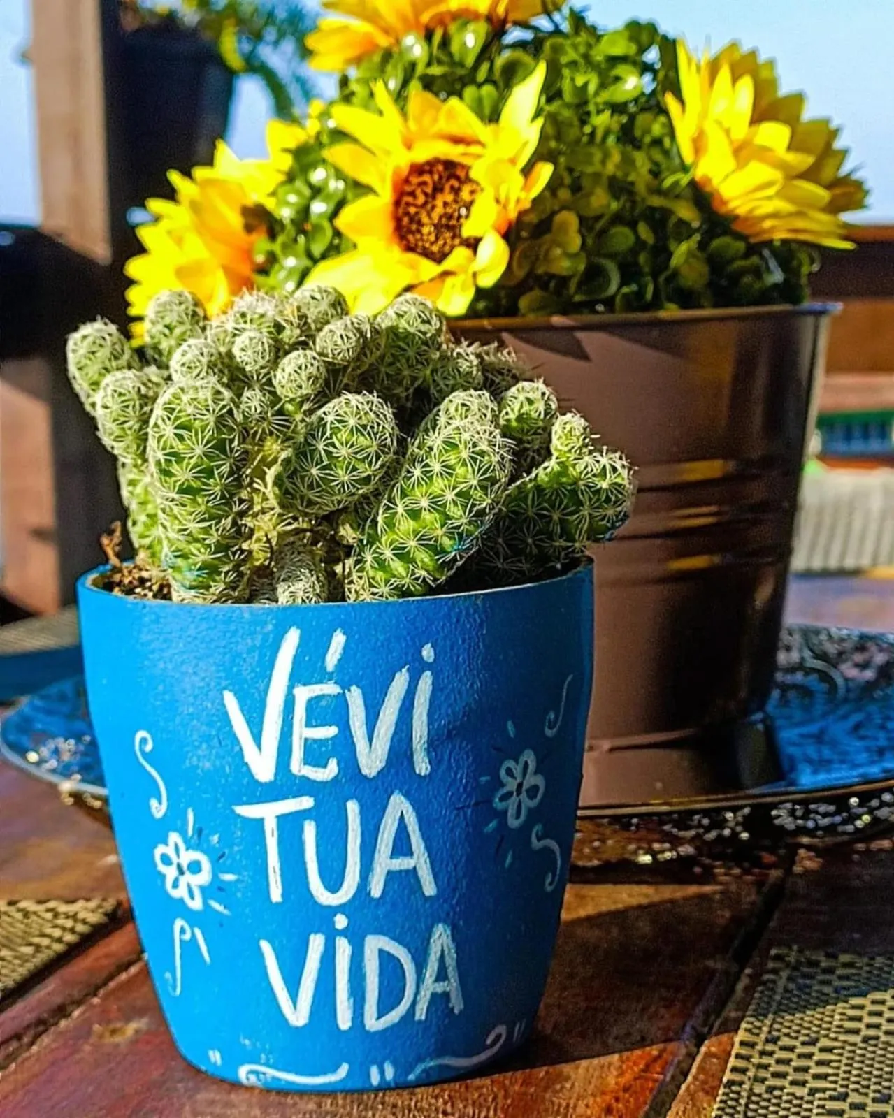 Pousada Vida Simples