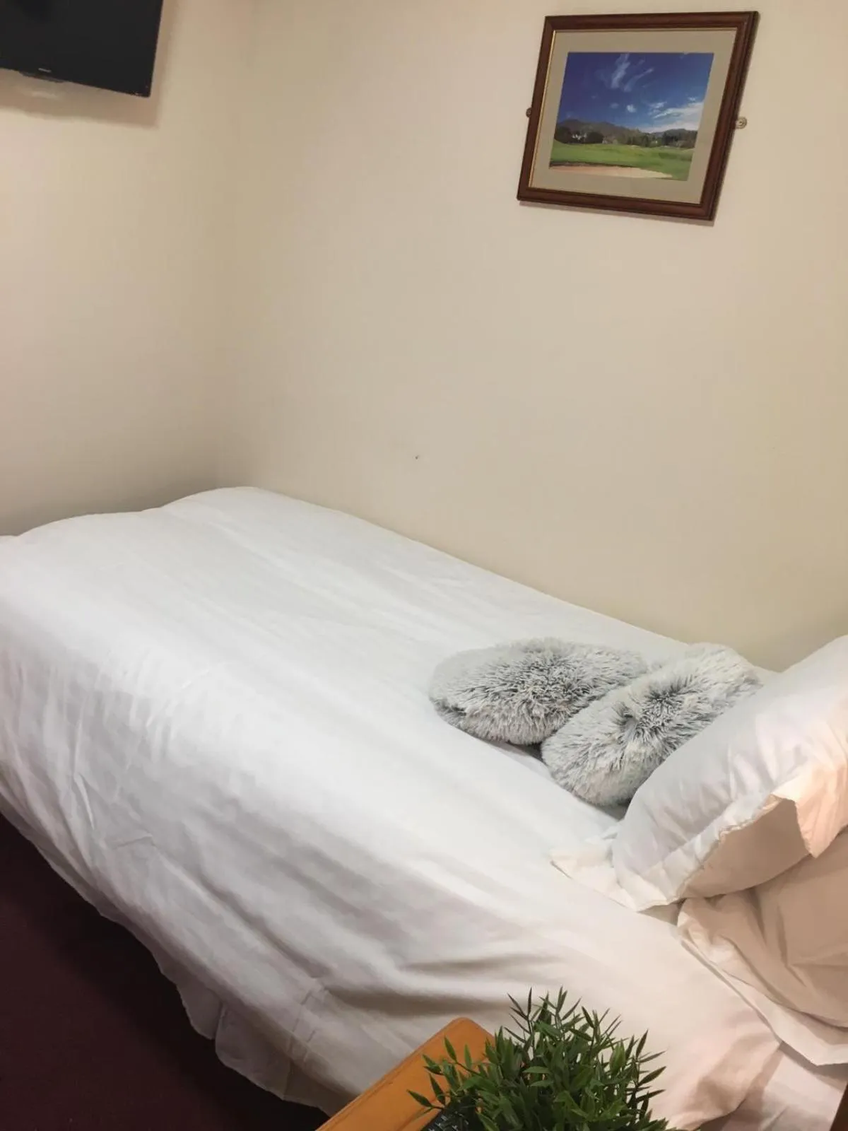 Bed in Terra Nova Hotel