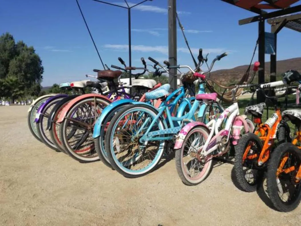 Cycling in Quintas Marlet en la ruta del vino