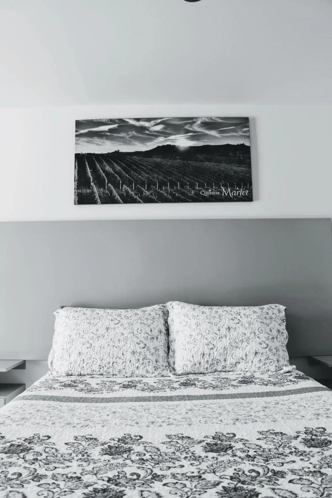 Quintas Marlet en la ruta del vino