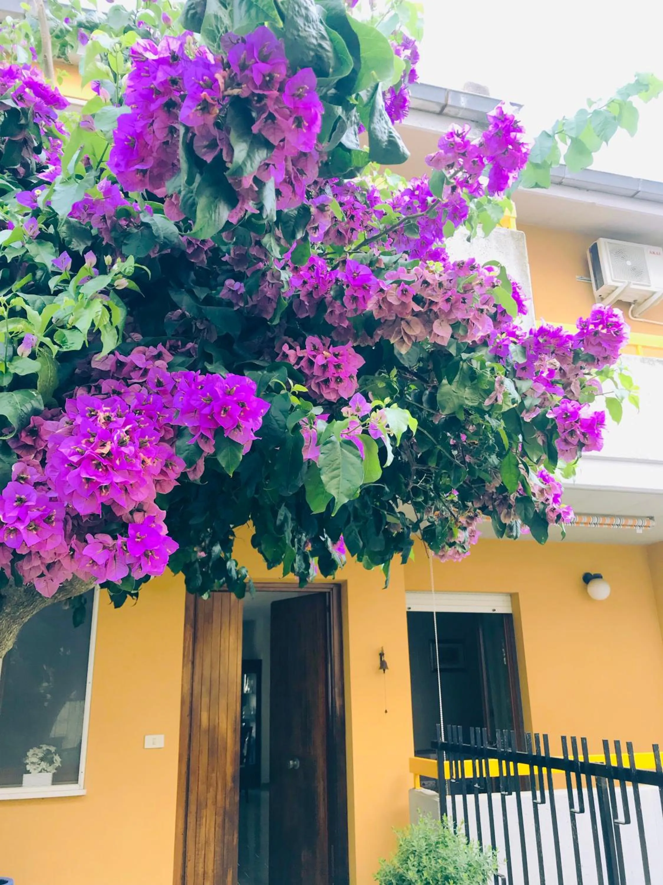 Facade/entrance in Le stanze di Botticelli