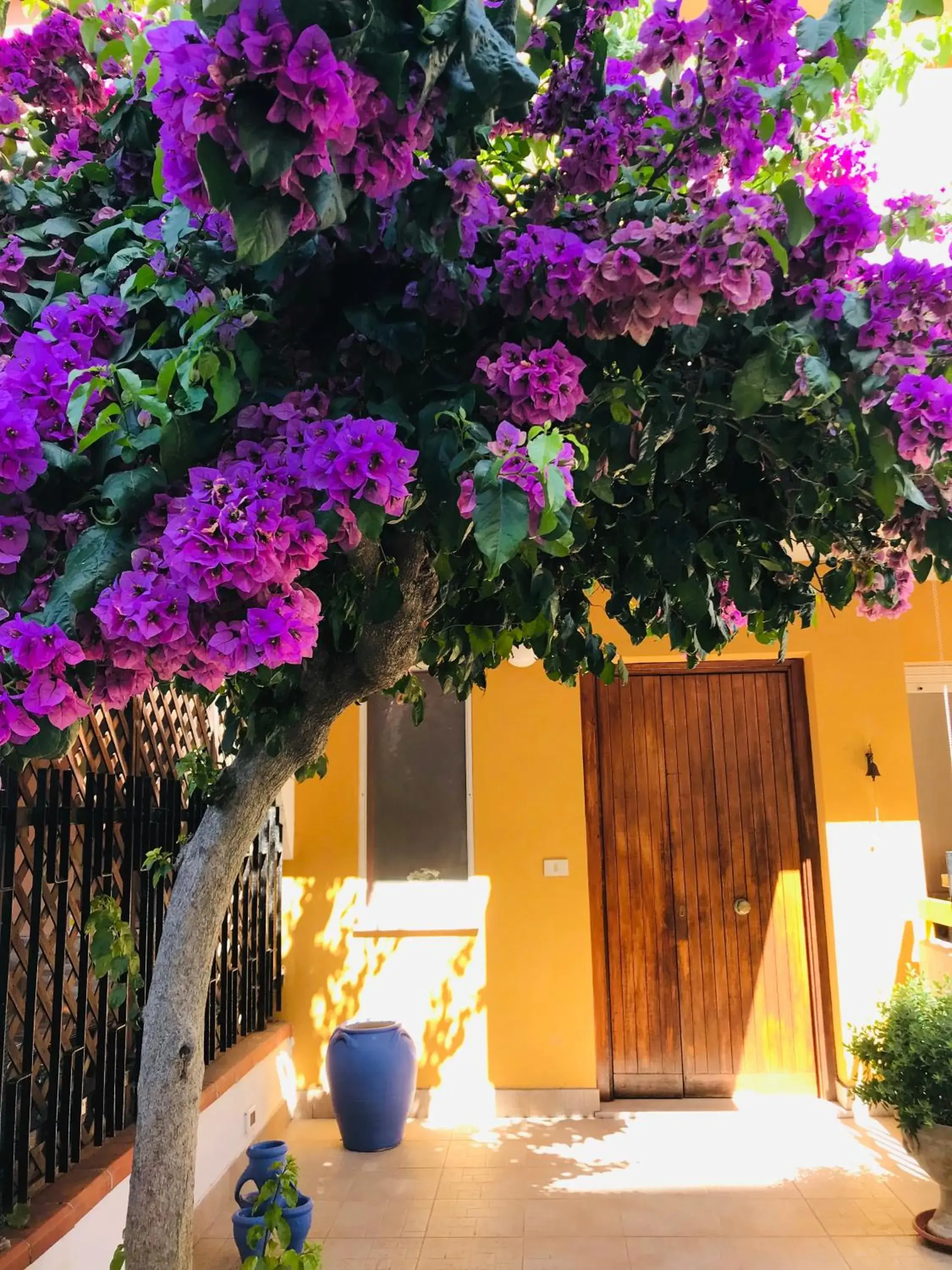 Le stanze di Botticelli Le stanze di Botticelli