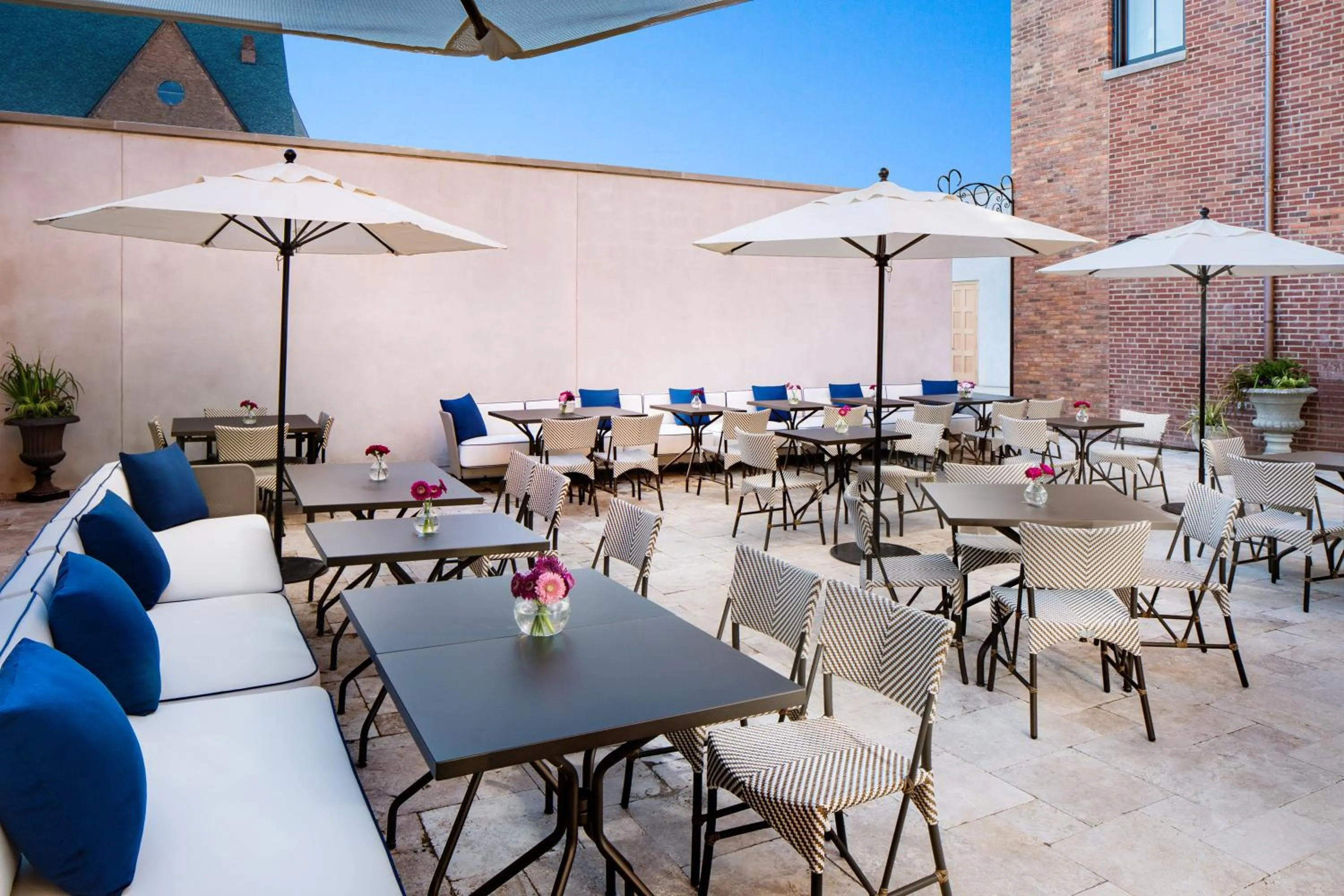 Restaurant/places to eat in The Adelphi Hotel