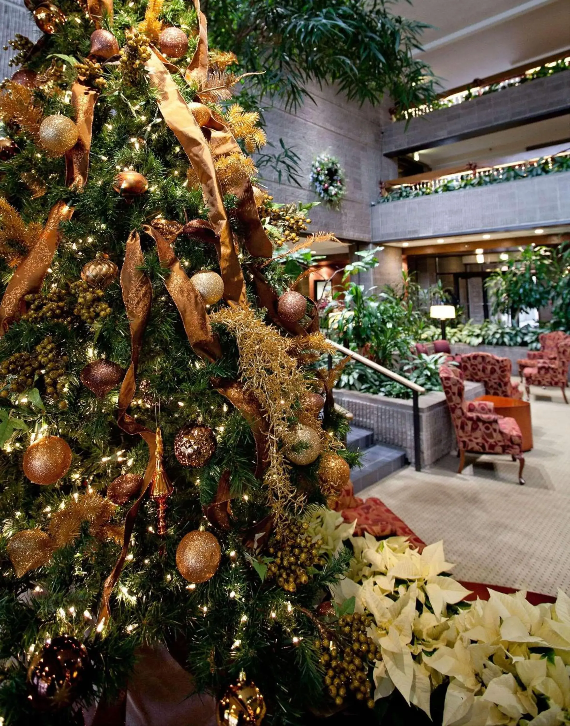 Lobby or reception in Radisson Hotel Corning Lobby or reception in Radisson Hotel Corning