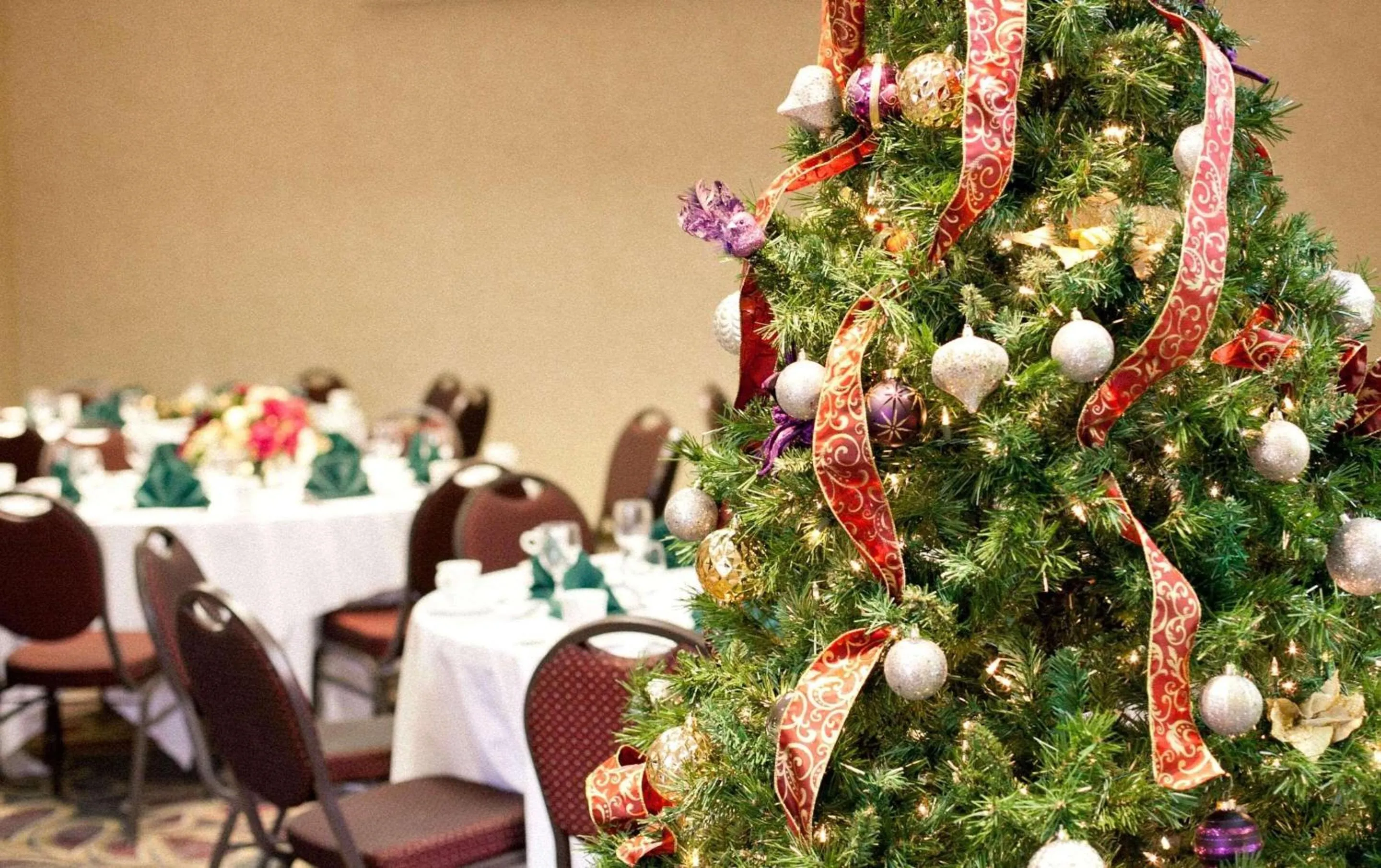 Meeting/conference room in Radisson Hotel Corning