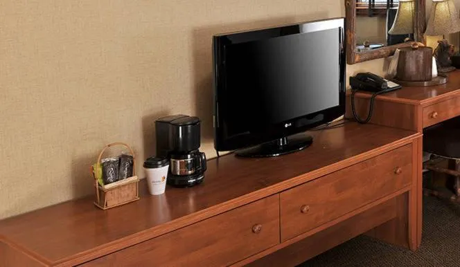 TV and multimedia in Boarders Inn & Suites by Cobblestone Hotels in Waukon