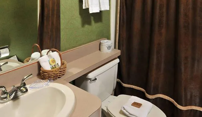 Bathroom in Boarders Inn & Suites by Cobblestone Hotels in Waukon