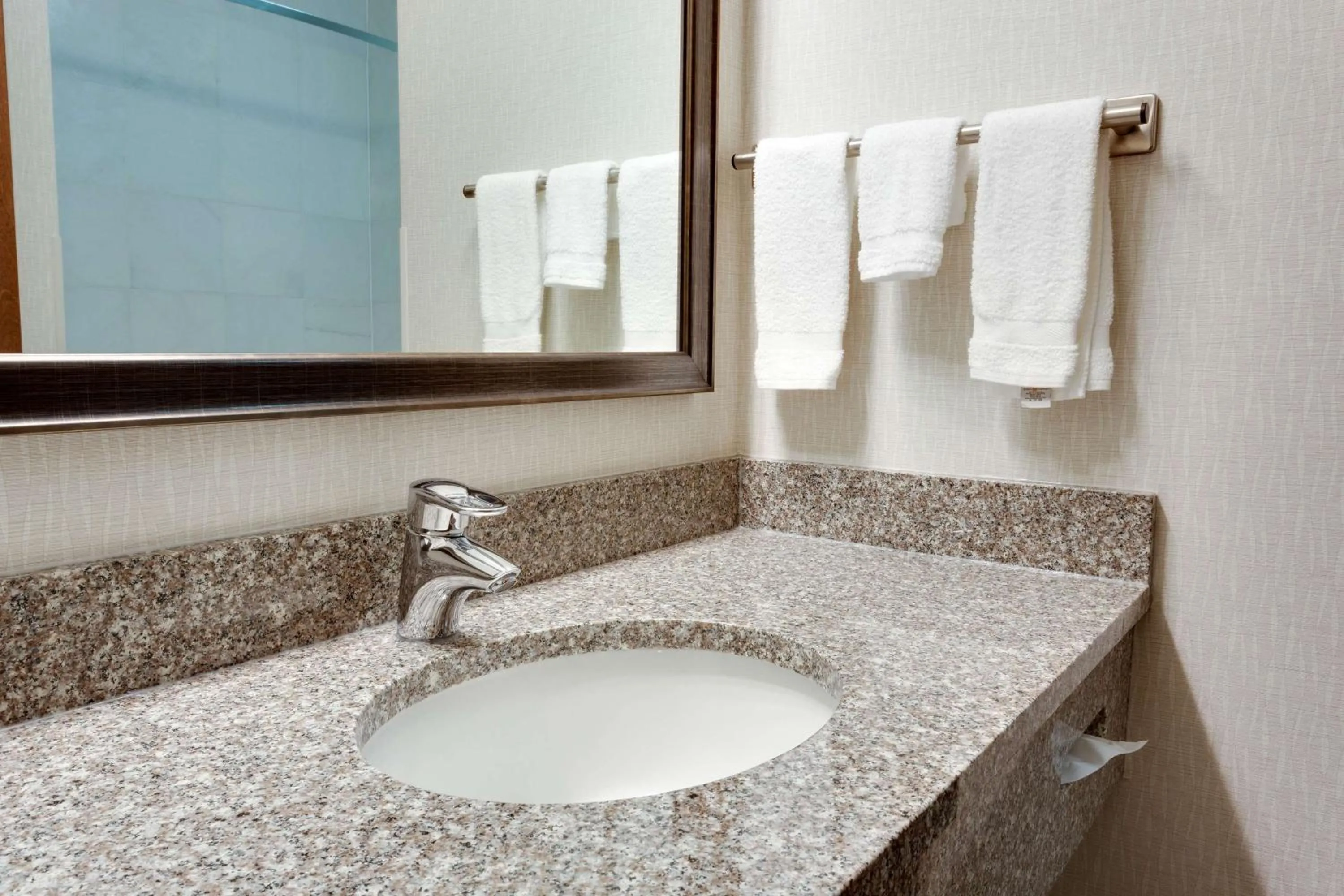 Bathroom in Drury Inn & Suites Greenville