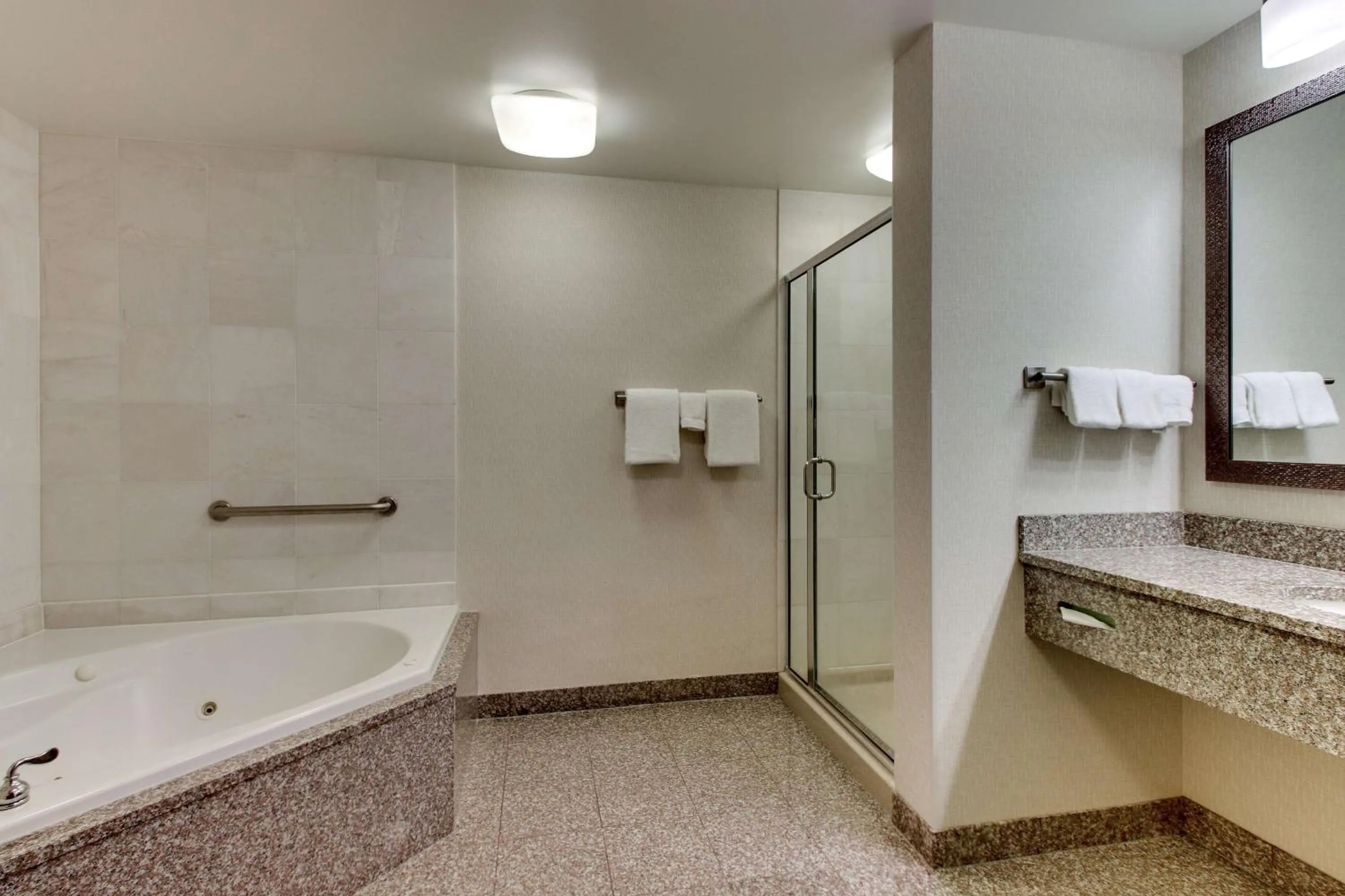 Bathroom in Drury Inn & Suites Meridian