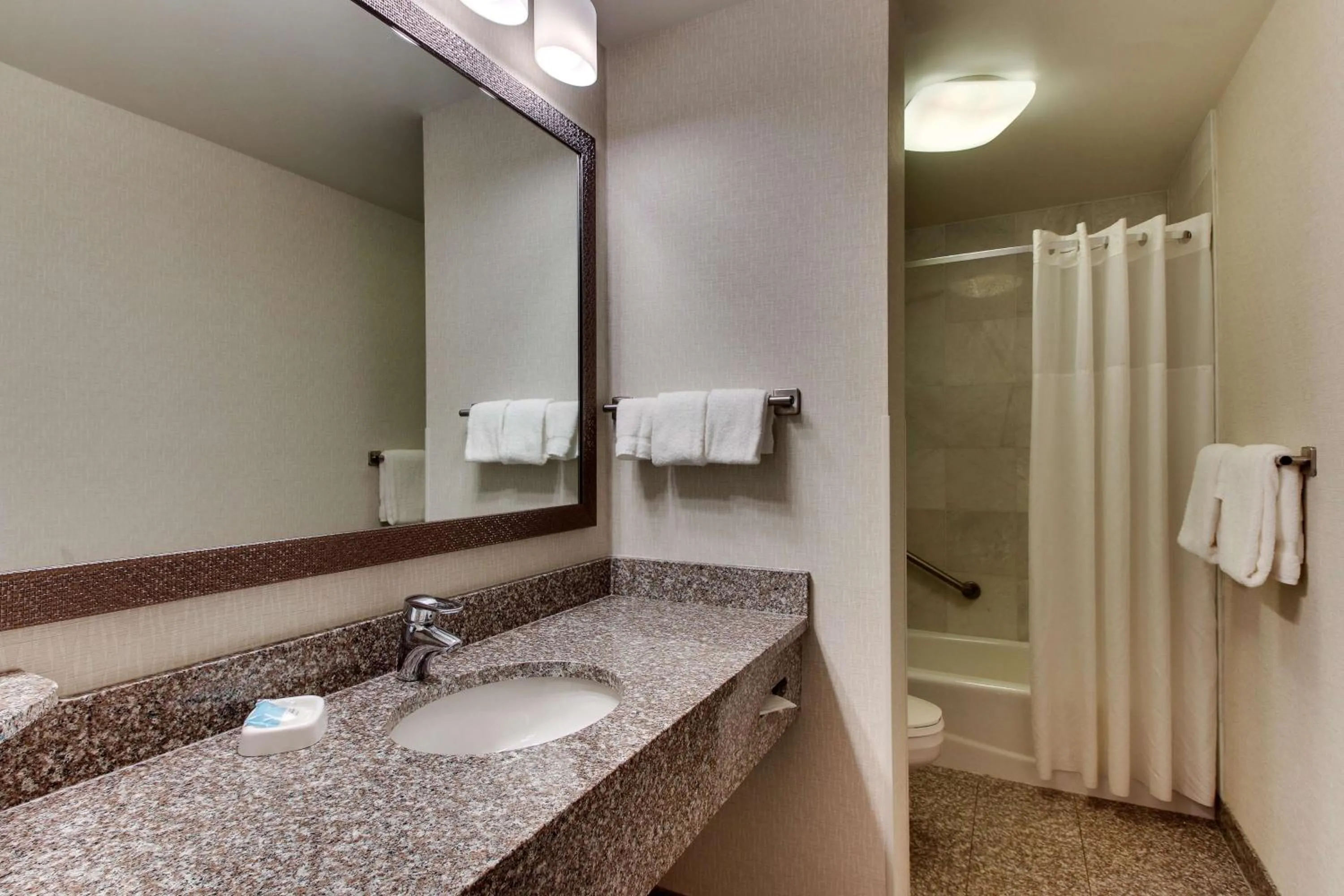 Bathroom in Drury Inn & Suites Meridian