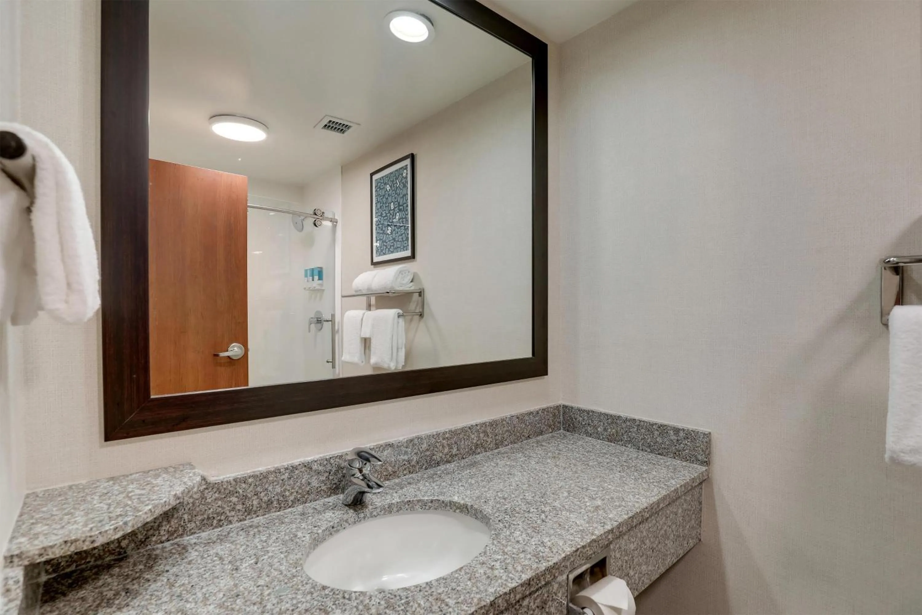 Bathroom in Drury Inn & Suites Montgomery