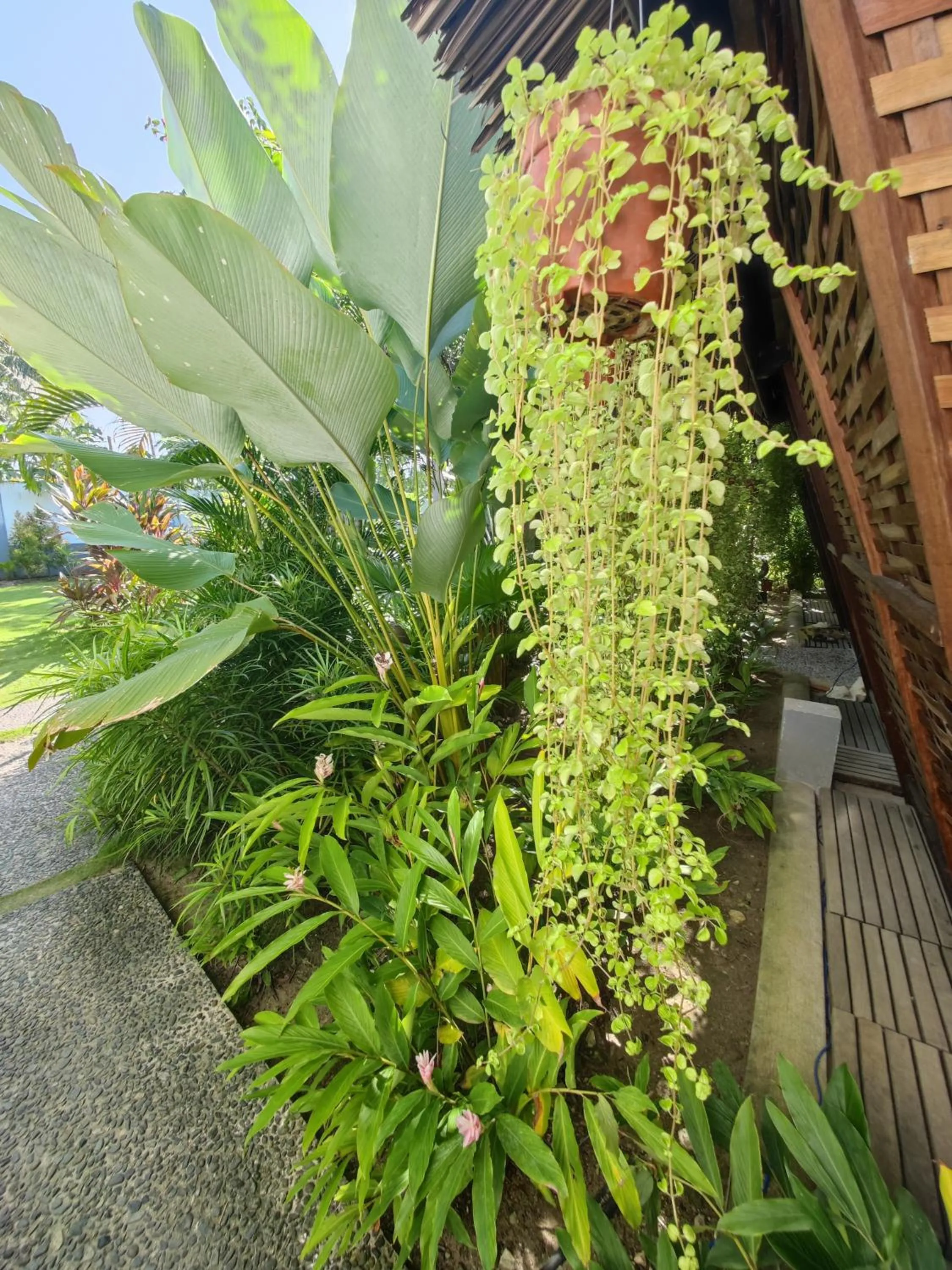 Daluyong Beach Resort