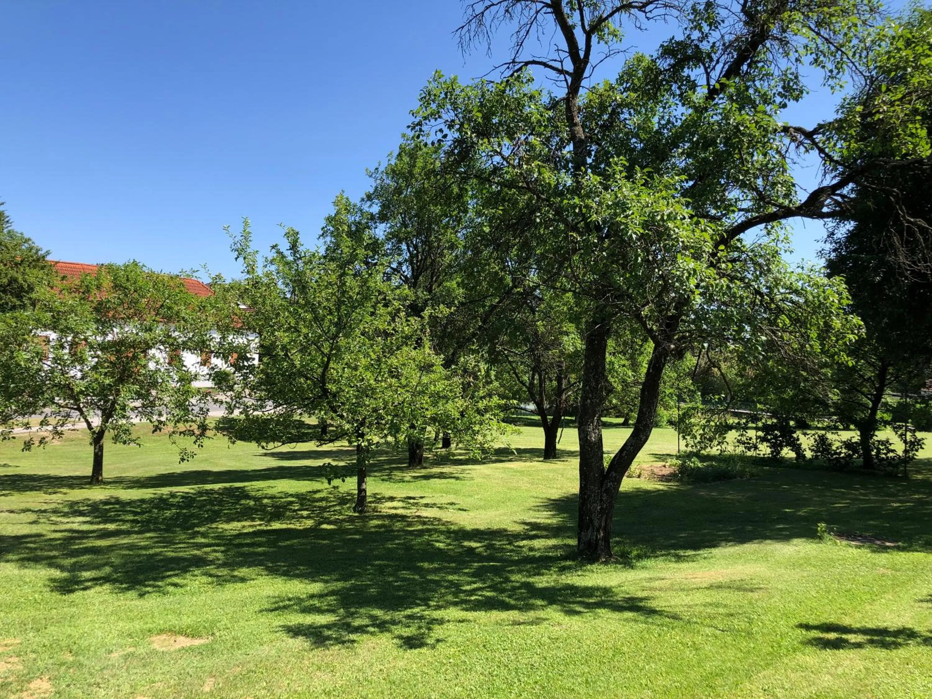 Garden view in Gasthof Koller