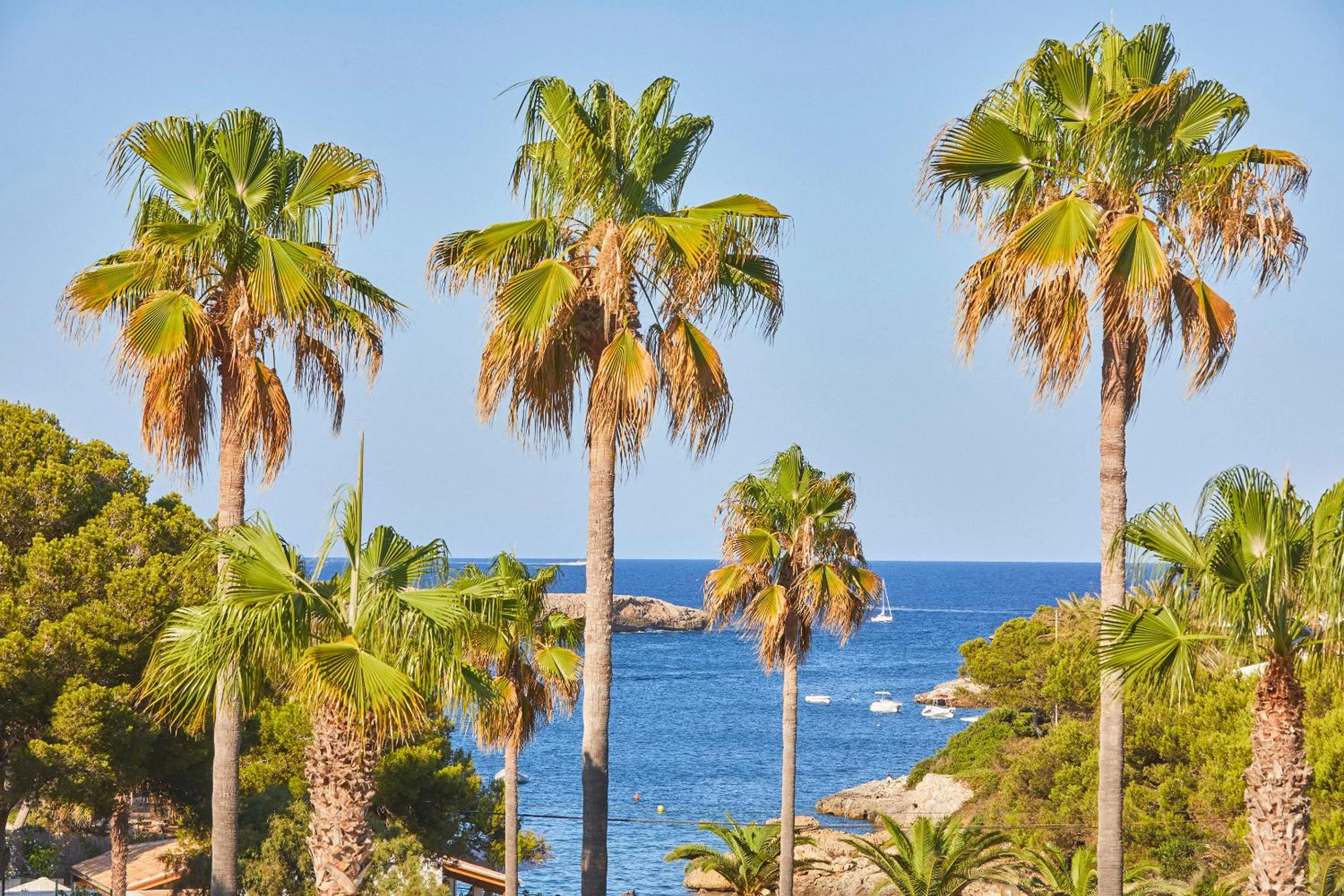 Beach in Hotel Rocamarina - Adults Only