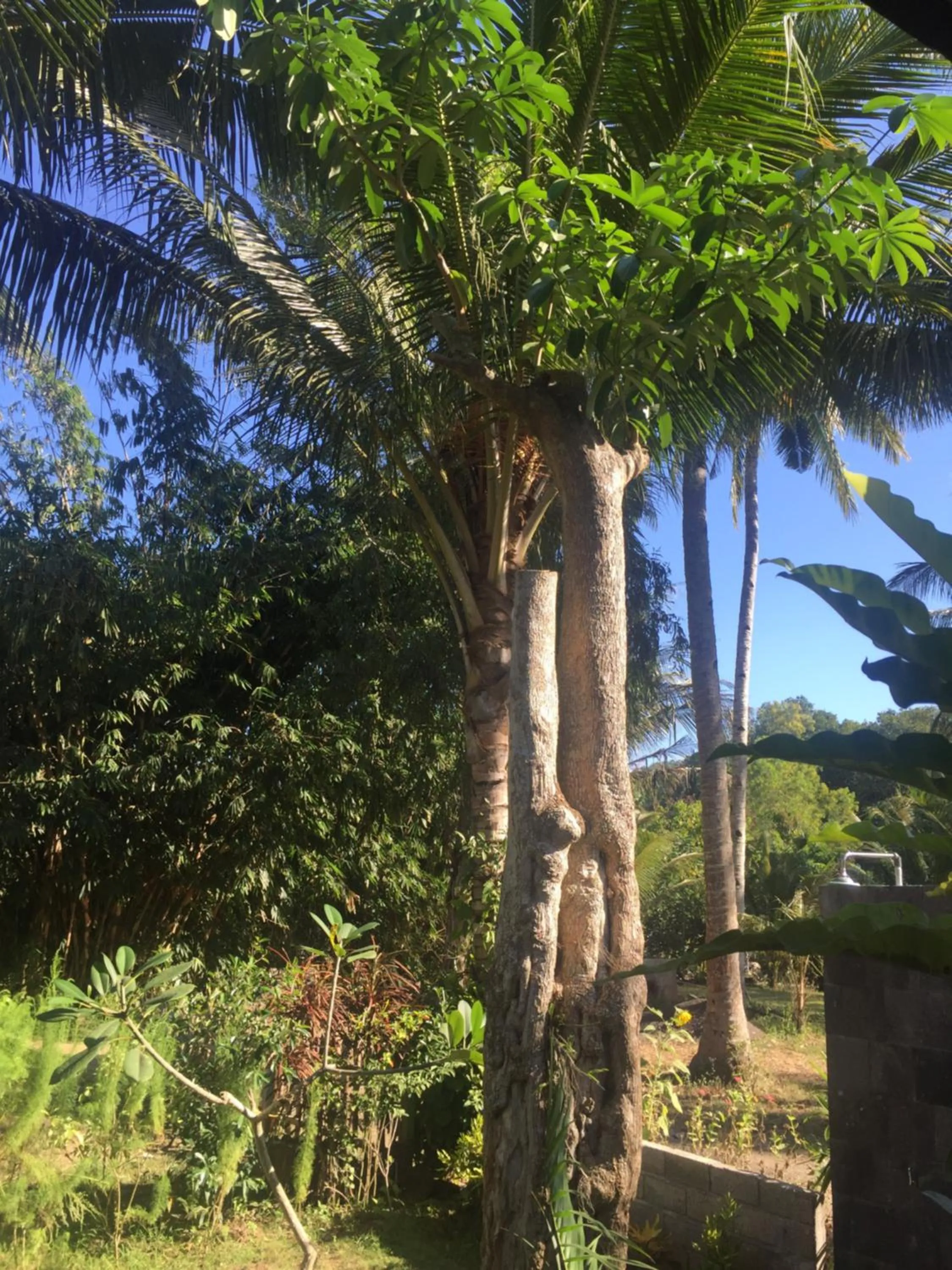 Red island villas