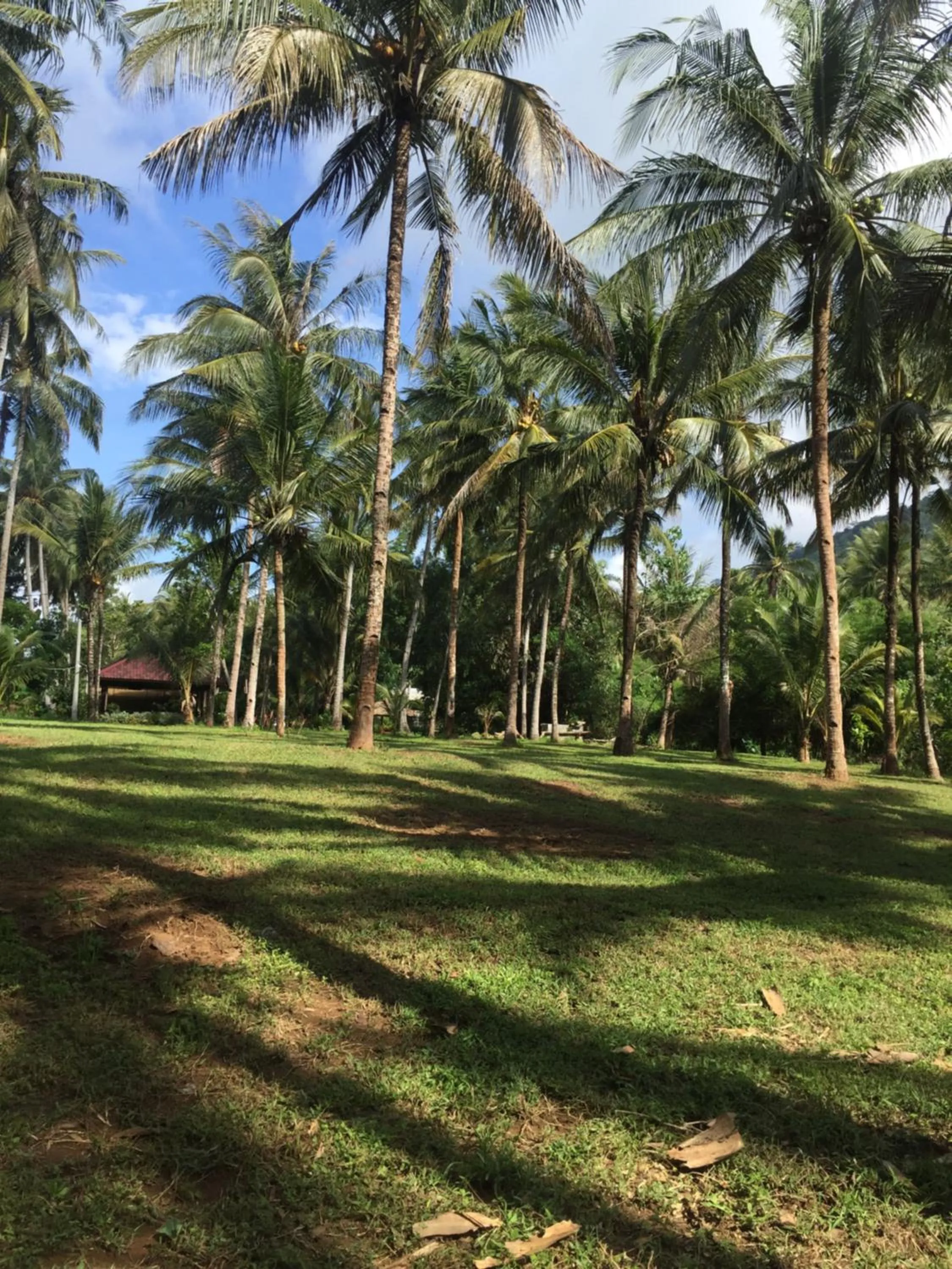 Red island villas