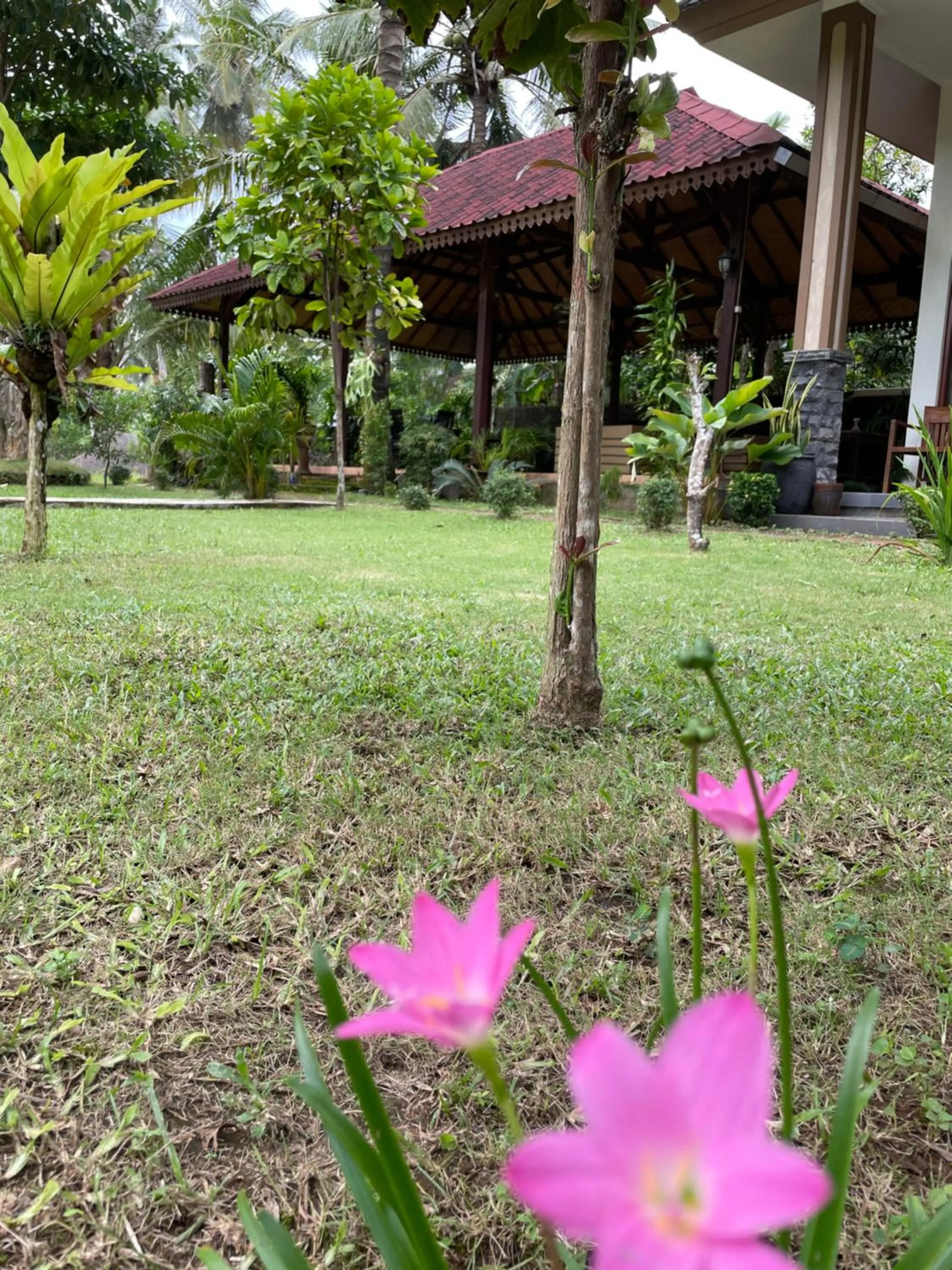 Red island villas