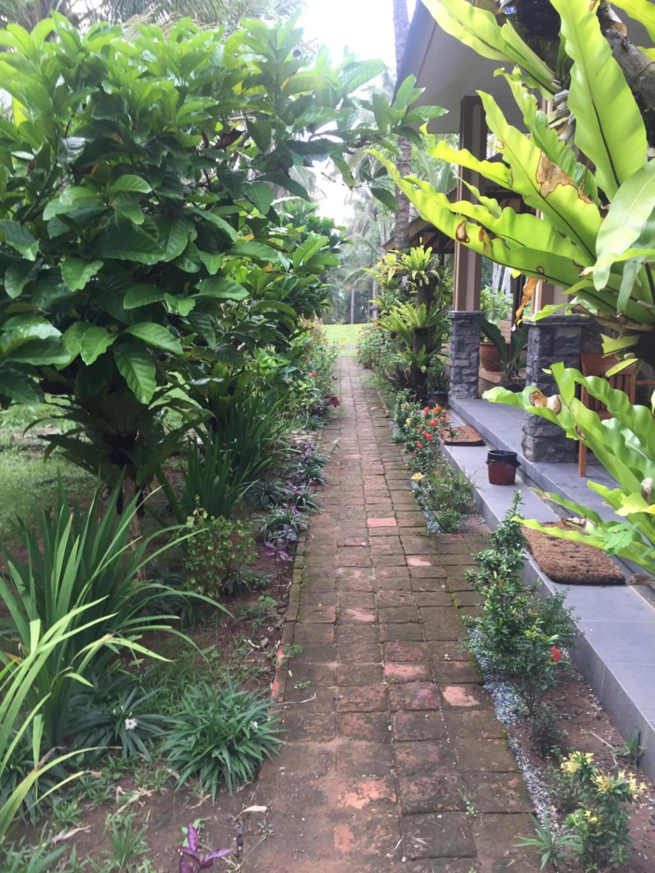 Red island villas