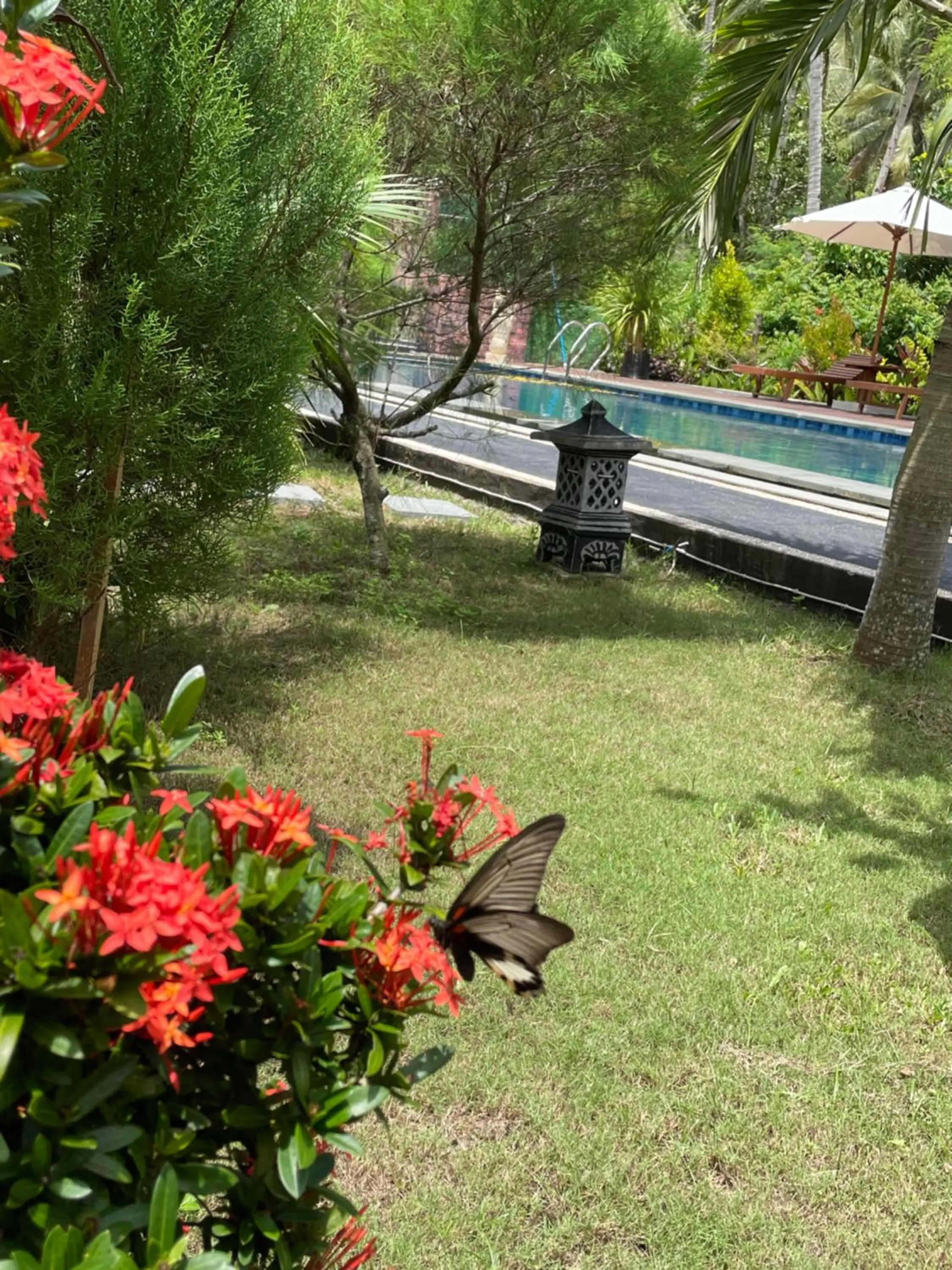 Red island villas