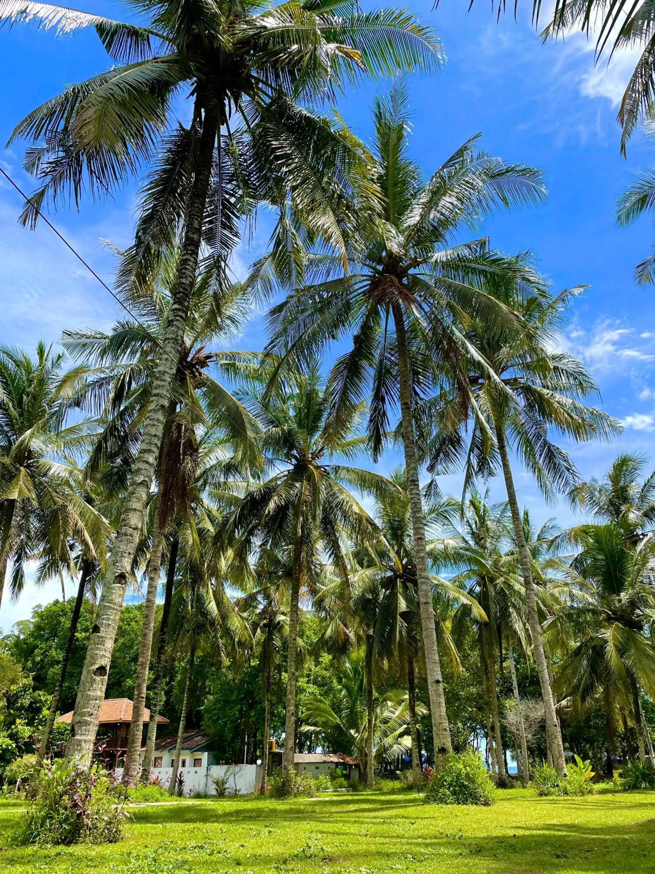Natural landscape in Red island villas