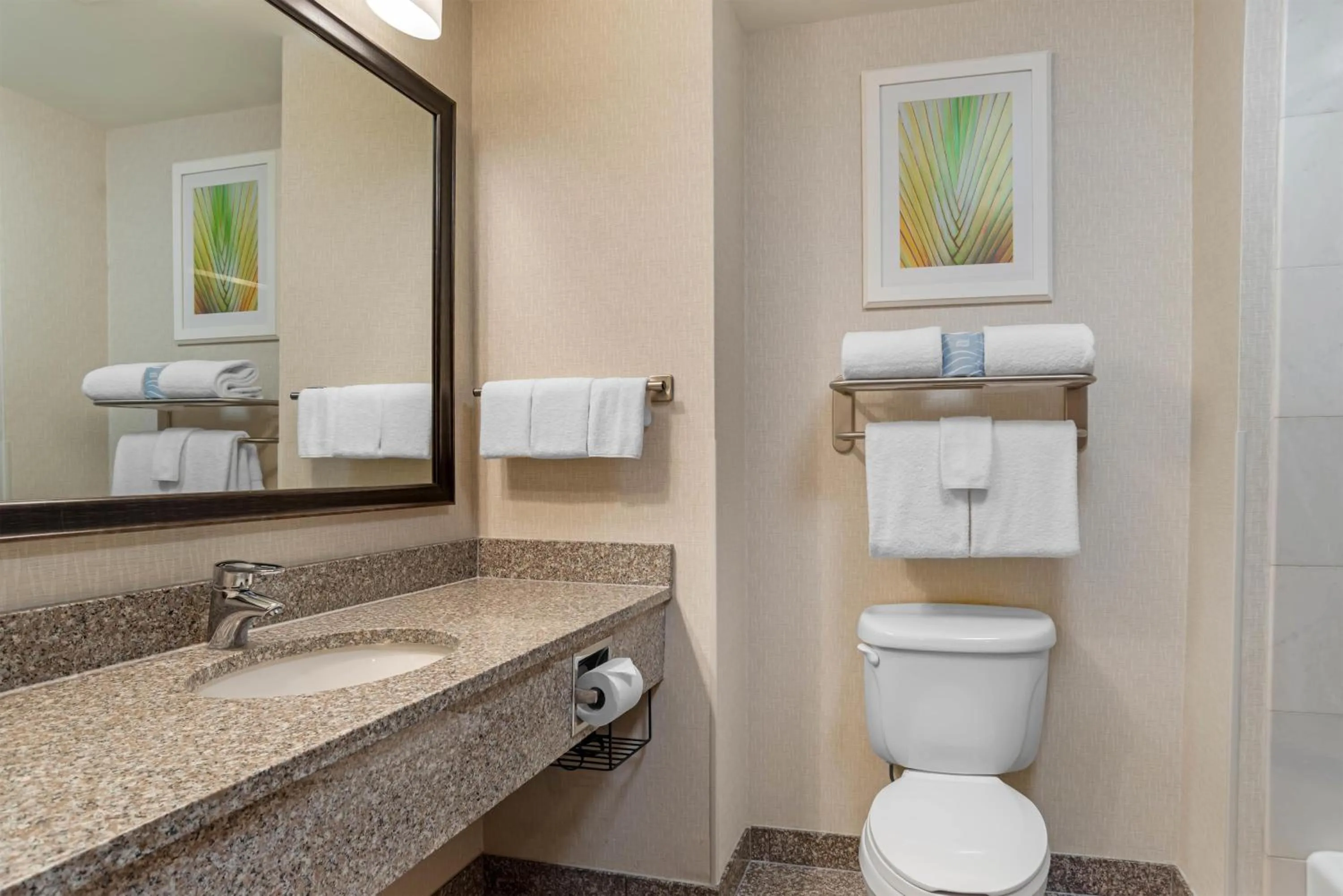 Bathroom in Drury Inn & Suites Baton Rouge