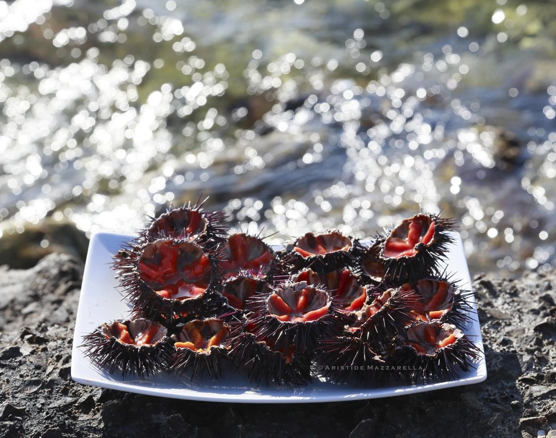 Food in Dimora Villa Serena Porto Selvaggio