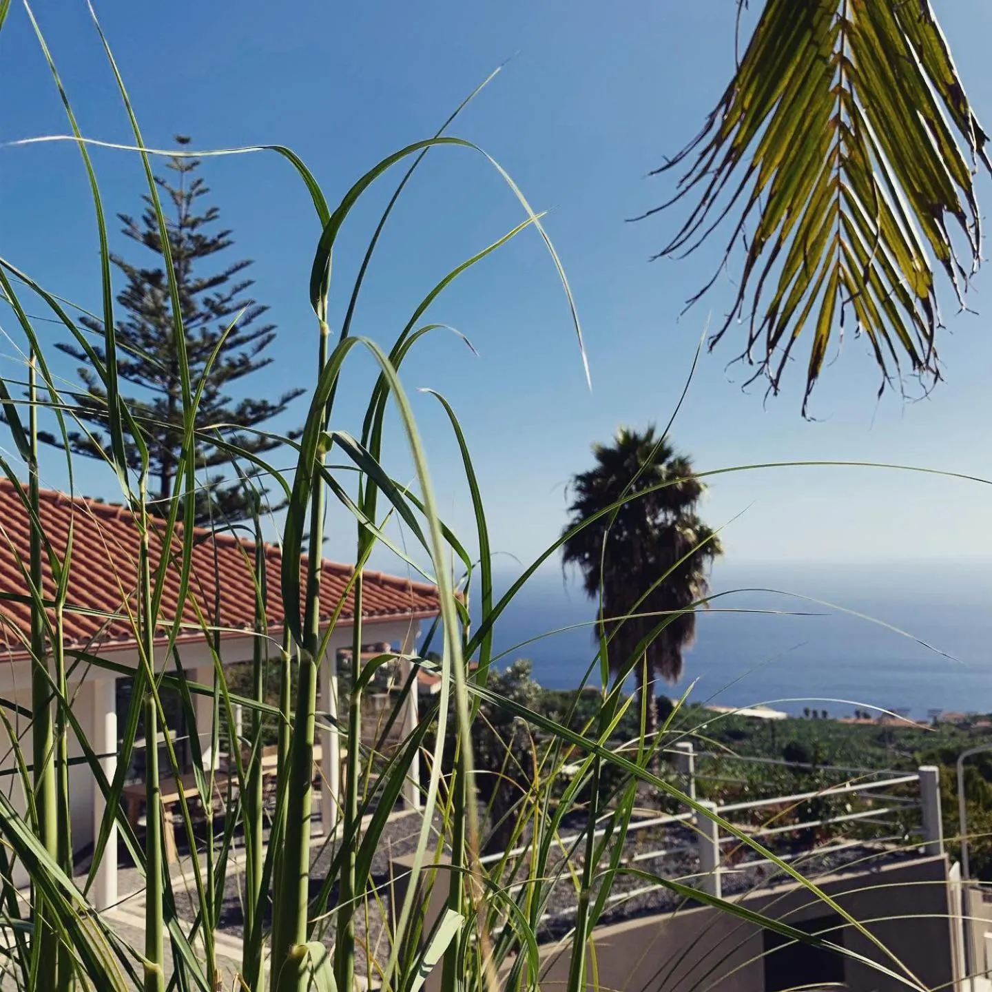 Natural landscape in Calheta Boutique Houses