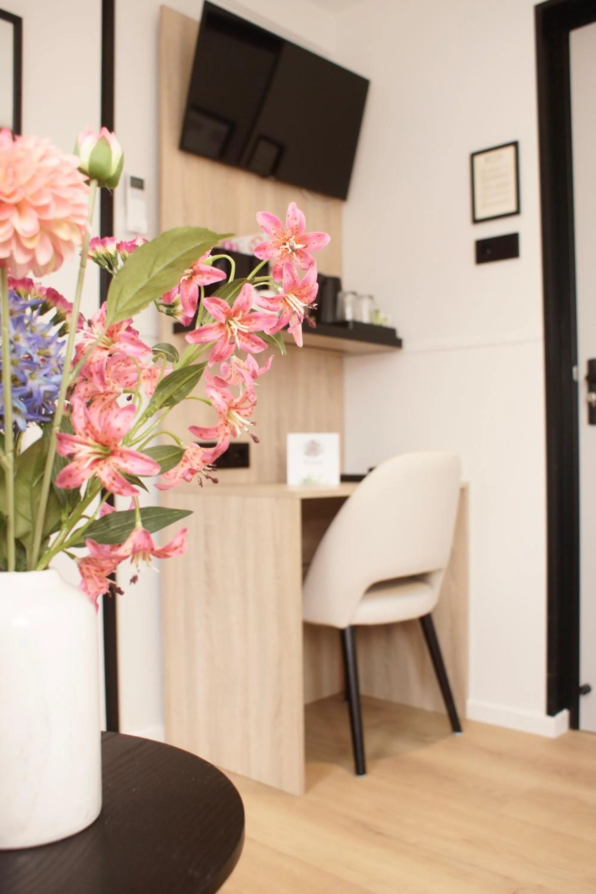 TV and multimedia in Hotel van Gelder