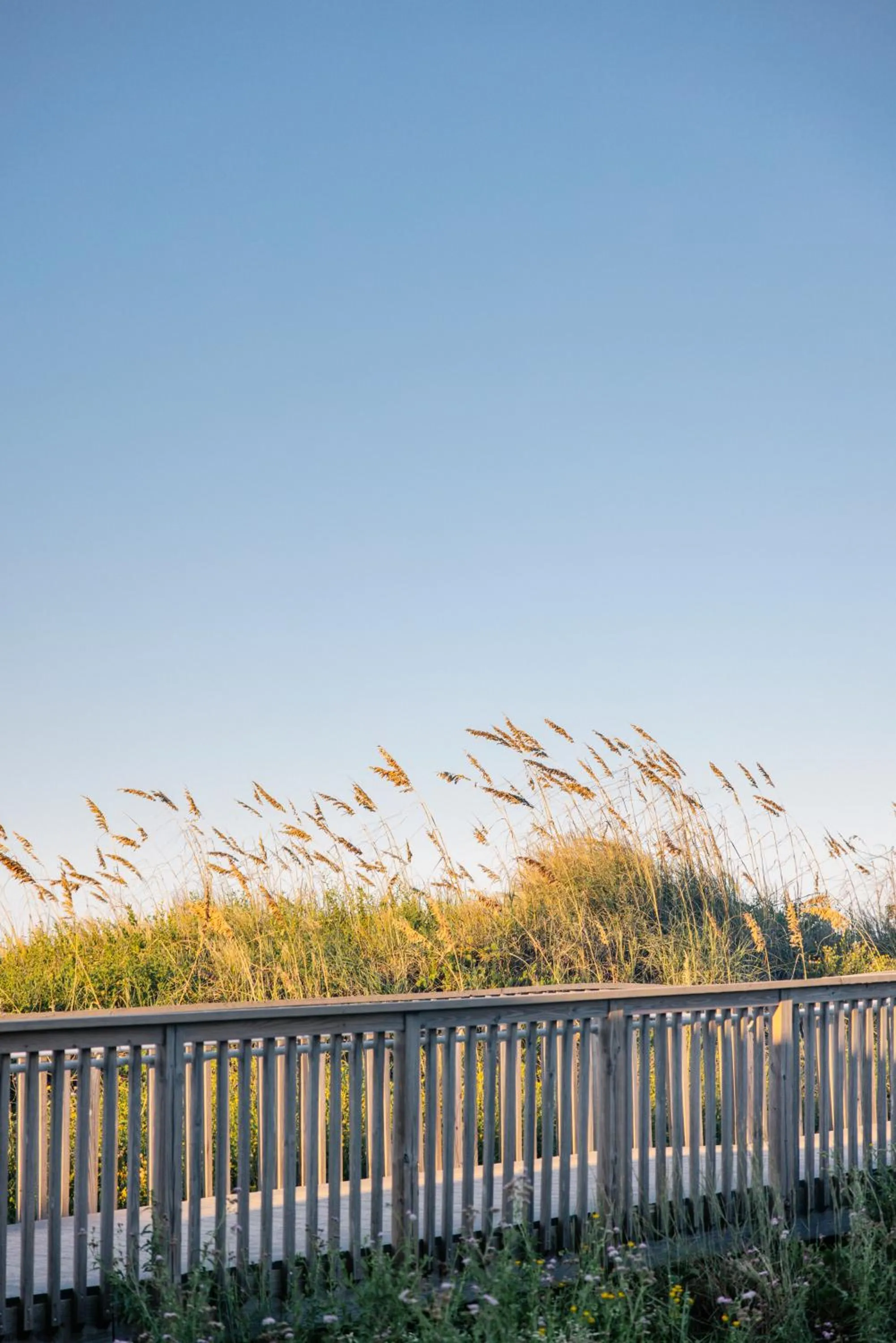 Natural landscape in Margaritaville Beach Resort South Padre Island