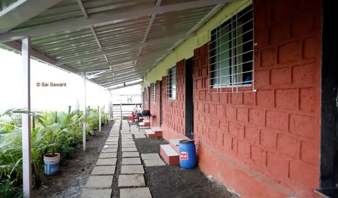 Vamoose Malvan Katta Vamoose Malvan Katta