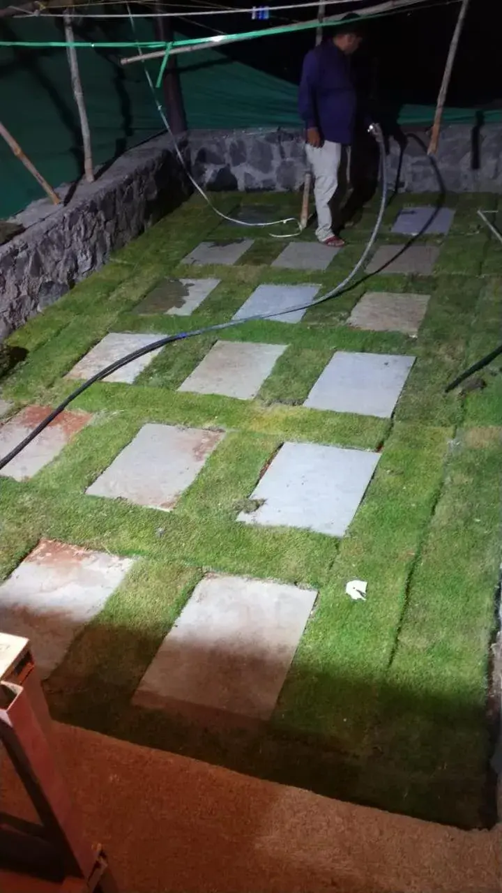 Vamoose Malvan Katta Vamoose Malvan Katta