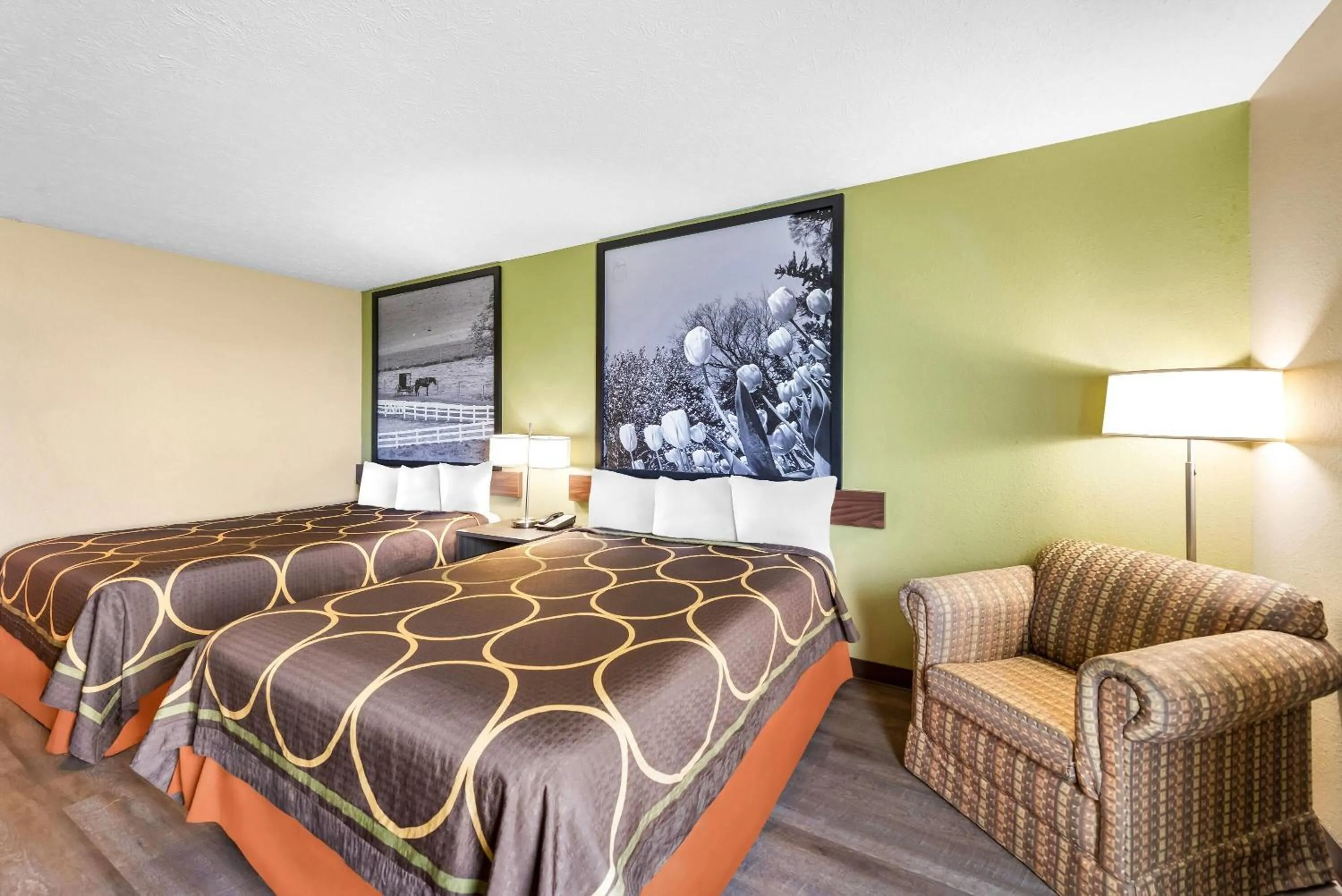 Bed in Super 8 by Wyndham Bellefontaine