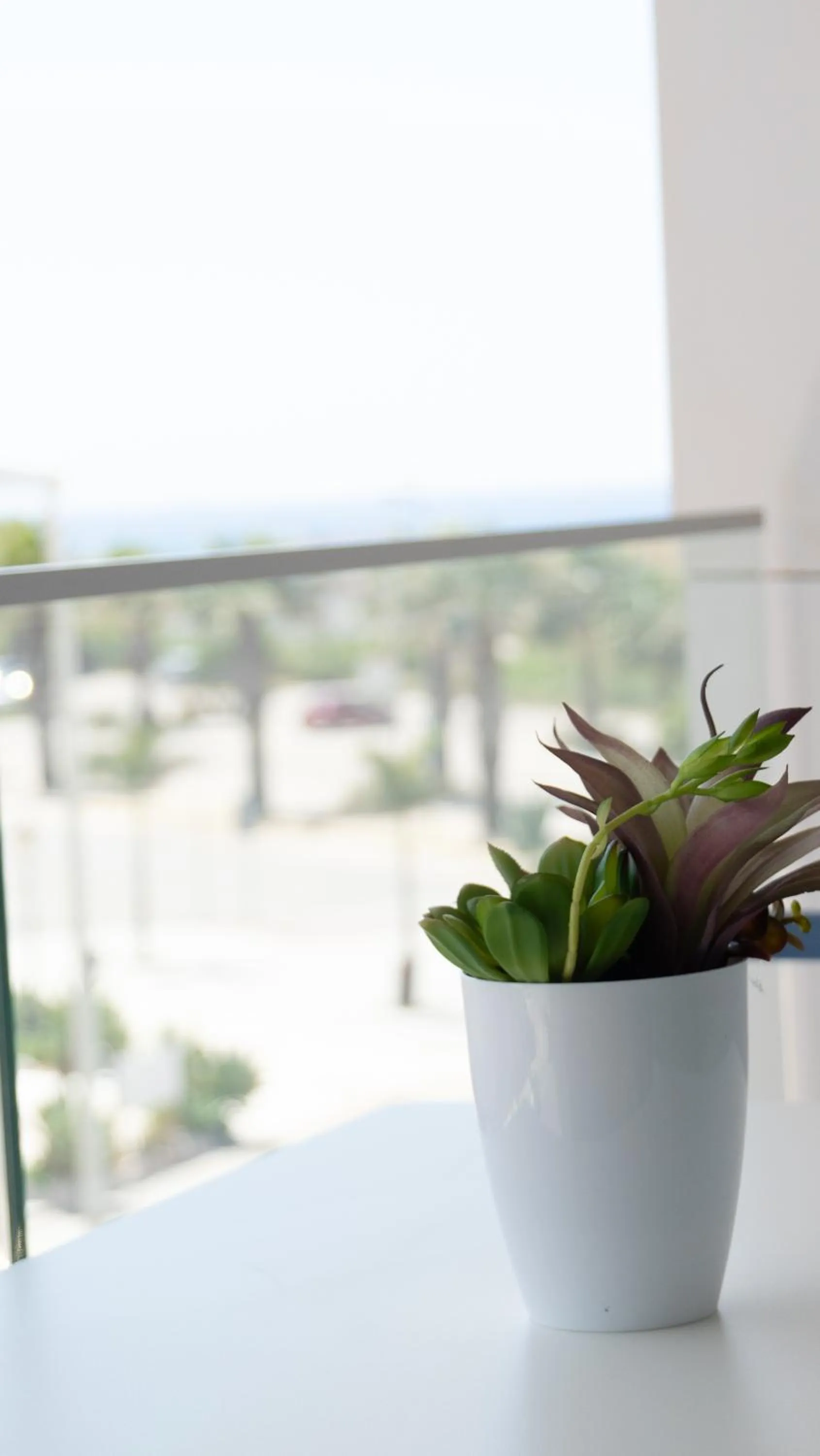 Balcony/Terrace in Hotel Playa de la Plata