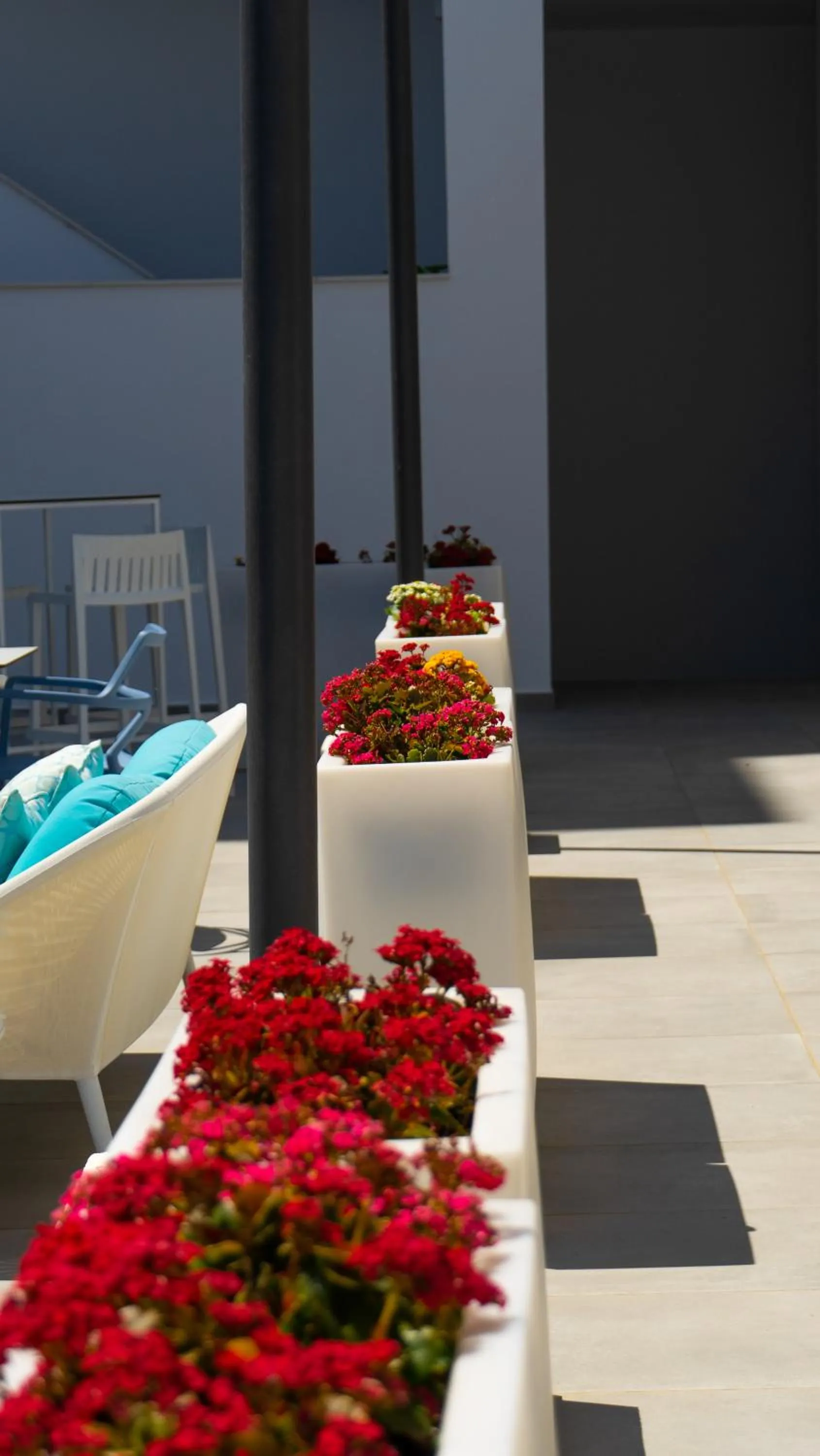 Property building in Hotel Playa de la Plata