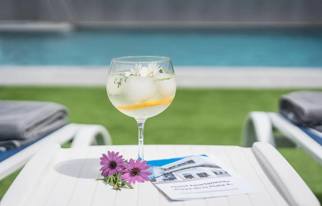 Hotel Playa de la Plata